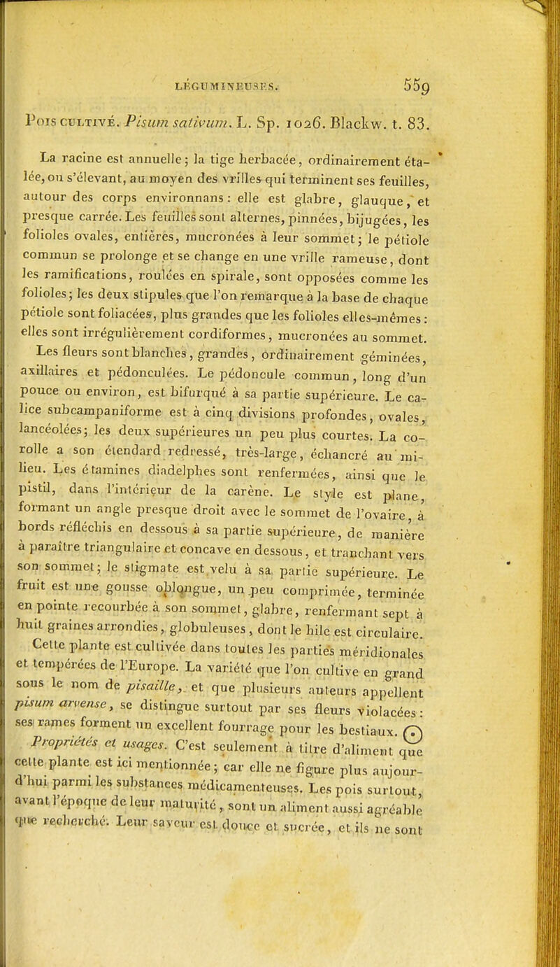 LIÎGUMINEUSKS. SSp Vois CULTIVÉ. Pisum satwum. L, Sp. 1026. Blackw. t. 83. La racine est annuelle; la tige herbacée, ordinairement éta- lée, ou s'éievant, au moyen des vrilles qui terminent ses feuilles, autour des corps environnans : elle est glabre, glauque, et presque carrée. Les feuilles sont alternes, pinnées, bijugées, les folioles ovales, entières, mucronées à leur sommet j le pétiole commun se prolonge et se change en une vrille rameuse, dont les ramifications, roulées en spirale, sont opposées comme les folioles; les deux stipules que l'on remarque à la base de chaque pétiole sont foliacées, plus grandes que les folioles elles-mêmes : elles sont irrégulièrement cordiformes, mucronées au sommet. Les fleurs sont blanches, grandes, ordinairement géminées, axillaires et pédonculées. Le pédoncule commun, long d'un pouce ou environ, est bifurqué à sa partie supérieure. Le ca- lice subcampaniforme est à cinq divisions profondes, ovales, lancéolées; les deux supérieures un peu plus courtes. La co- rolle a son étendard redressé, très-large, échancré au mi- lieu. Les étaraines diadelphes sont renfermées,, ainsi que le pistil, dans l'intérieur de la carène. Le style est jjJane formant un angle presque droit avec le sommet de l'ovaire à bords réfléchis en dessous à sa partie supérieure, de manière à paraître triangulaire et concave en dessous, et tranchant vers son sommet; le stigmate est.velu à sa, partie supérieure. Le fruit est une gousse oblqngue, un peu comprimée, terminée en pointe recourbée à son sommet, glabre, renfermant sept à huit graines arrondies, globuleuses , dont le hilc est circulaire. Cette plante est cultivée dans toutes les parties méridionales et tempérées de l'Europe. La variété que l'on cultive en grand sous le nom de pisaille&i que plusieurs auteurs appellent pisum arvense, se distingue surtout par ses fleurs violacées- sesi rames forment un excellent fourrage pour les bestiaux (7) Propriétés et usages. C'est seulement à titre d'aliment q^e cette plante est ici mentionnée; car elle ne figure plus aujour- d'hui parmi les substances médicamenteuses. Les pois surtout avant l'époque de leur maturité, sont un aliment aussi agréable q:ue r<?chei.-cbé. Leur saveur est. çlouce et sucrée, et ils ne sont