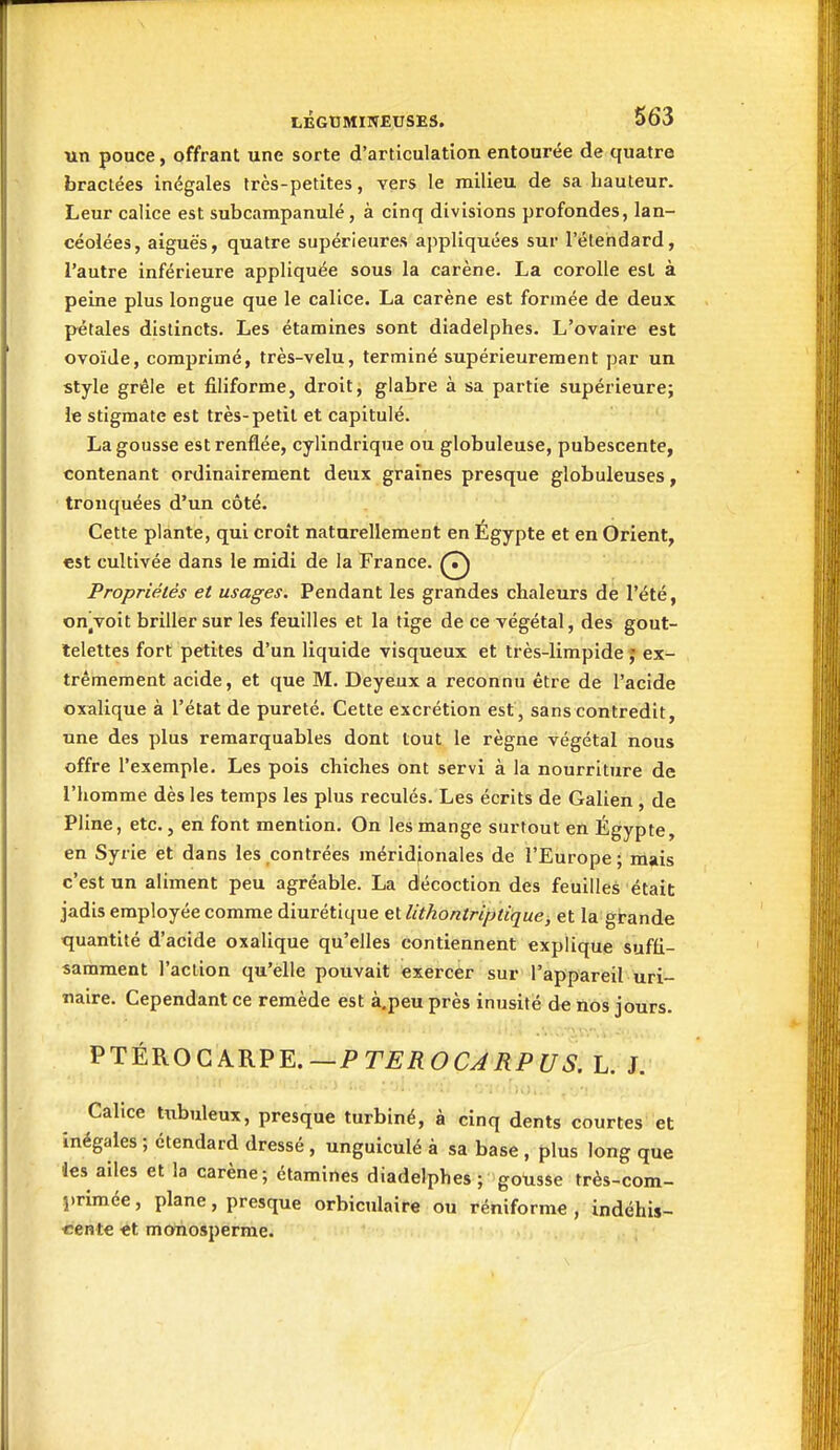 un ponce, offrant une sorte d'articulation entourée de quatre bractées inégales très-petites, vers le milieu de sa hauteur. Leur calice est subcampanulé, à cinq divisions profondes, lan- céolées , aiguës, quatre supérieures appliquées sur l'étendard, l'autre inférieure appliquée sous la carène. La corolle est à peine plus longue que le calice. La carène est formée de deux pétales distincts. Les étamines sont diadelphes. L'ovaire est ovoïde, comprimé, très-velu, terminé supérieurement par un style grêle et filiforme, droit, glabre à sa partie supérieure; le stigmate est très-petit et capitulé. La gousse est renflée, cylindrique ou globuleuse, pubescente, contenant ordinairement deux graines presque globuleuses, tronquées d'un côté. Cette plante, qui croit naturellement en Egypte et en Orient, est cultivée dans le midi de la France. ^7^ Propriétés et usages. Pendant les grandes chaleurs de l'été, onVoit briller sur les feuilles et la tige de ce végétal, des gout- telettes fort petites d'un liquide visqueux et très-limpide ex- trêmement acide, et que M. Deyeux a reconnu être de l'acide oxalique à l'état de pureté. Cette excrétion est, sans contredit, une des plus remarquables dont tout le règne végétal nous offre l'exemple. Les pois chiches ont servi à la nourriture de l'homme dès les temps les plus reculés. Les écrits de Galien , de Pline, etc., en font mention. On les mange surtout en Egypte, en Syrie et dans les contrées méridionales de l'Europe ; mais c'est un aliment peu agréable. La décoction des feuilles était jadis employée comme diurétique et Uthontriptique, et la grande quantité d'acide oxalique qu'elles contiennent explique suffi- samment l'action qu'elle pouvait exercer sur l'appareil uri- tialre. Cependant ce remède est à.peu près inusité de nos jours. PTÉROCARPE.—PT^:iî(9C^/ÎPt/^. L. J. Calice tiibuleux, presque turbiné, à cinq dents courtes et inégales ; étendard dressé , unguiculé à sa base , plus long que ies ailes et la carène; étamines diadelphes ; gotisse très-com- î)rimée, plane, presque orbiculaire ou réniforme , indéhis- cente -et mouosperme.