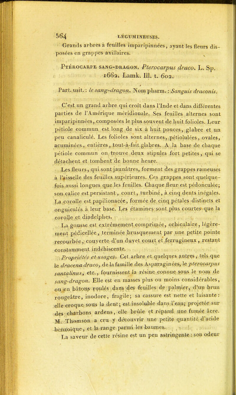 Grands arbres à feuilles imparipinnées, ayant les fleurs dis- posées en grappes axillaires^ Ptérogarpe sang-dragon. Pterocarpus draco. Li Sp. 1662. Lamk. 111. t. 6o2i Part. usit. : le sang-dragon. Nom pharm. : Sanguis draconis. ...Ç'cîit un grand arbre qui croît dans l'Inde et dans différentes parties de l'Amérique méridionale. Ses feuilles alternes sont imparipinnées, composées le plus souvent de huit folioles. Leur pétiole commun est long de six à huit pouces, glabre et un peu canaliculé. Les folioles sont alternes.,,pétiolulées, ovales, acuininées, entièrestout-à-fait glabres. la b^se de chaque pétiole commun on,tr,ouve.deux stipules fort petites, qui se détachent et tombent de bonne heure. .Les fleurs, qui sont jaunâtres, forment des grappes rameuses à l'aisselle des feuilles supérieures. Ce^ grappes sont quelque- fpis .aussi longues que les feuilles. Chaque fleur est pédonculée; son calice est persistant, court, turbiné, à cinq dents inégales. La.corolle est papilionacée, formée de cinq pétales distincts et onguiculés à leur base. Les étaraine§ sont plus courtes que la corolle et diadelphes. La gousse est extrêmement comprimée, orbiculaire, légère- ment pédicellée, terminée brusquement par une petite pointe recourbée, couverte d'un duvet court et,ferrugineux , restant constarnment indéhiscente. , . Propriétés et usages. Cet arbre et quelques ^ntr^s, tels.que le dfacena draco, de la famille des Asparaginées, le pterocarpus santalinus^ etc., fournissent la résine çonnuei sous le nom. de sang-dragon. Elle est en masses plus ou moins considérables, ou .en bâtons TQulés dans des feuilles de palniier, d'un brun rougeâtx-e, inodore, fragile; sa cassure est nette et luisante: elle croque sous la dentj est.insoltible dans l'eau; projetée sur des charbons ardens, elle brûle et ;rép$n!i une fumée acre. Mi Thomson a cru y découvrir une petite quantité d'acide -bonzoïque, et la range i>arlni les baumes. .. ' La saveur de cette résine est un peu astringente : son odeur