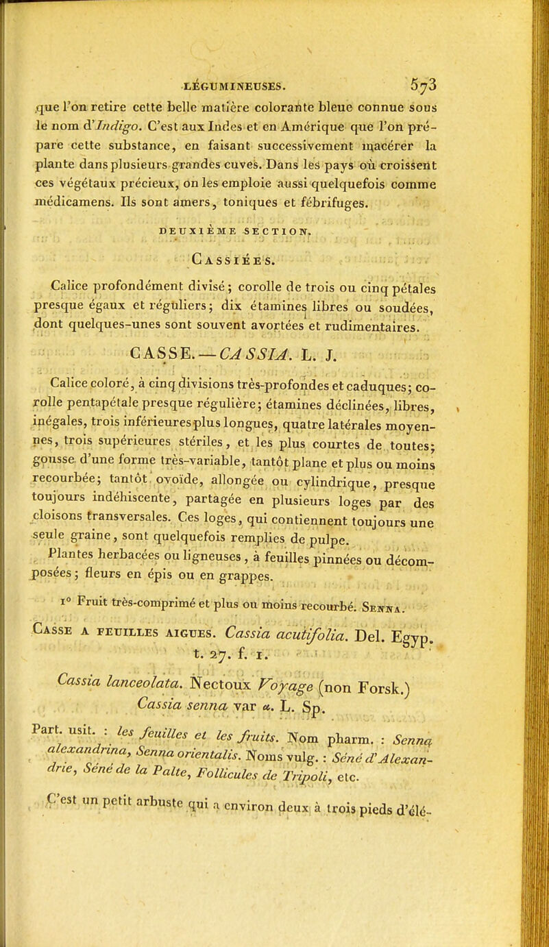 \ LÉGUMINEUSES. Ô^S .que l'on retire cette belle matière colorante bleue connue sous le nom à'Indigo. C'est aux Indes et en Amérique que l'on pré- pare cette substance, en faisant successivement rqacérer la plante dans plusieurs grandes cuves. Dans les pays où croissent ces végétaux précieux, on les emploie aussi quelquefois comme médicamens. Ils sont amers, toniques et fébrifuges. DEUXIÈME SECTION. 'GÀssi'ÉÉ's. Calice profondément divisé ; corolle de trois ou cinq pétales presque égaux et réguliers; dix étamines libres ou soudées, dont quelques-unes sont souvent avortées et rudimentaires. GkS^'E.. — CASSIA. L. J. Calice coloré, à cinq divisions très-profondes et caduques; co- rolle pentapétale presque régulière; étamines déclinées, libres, ipégales, trois inférieuresplus longues, quatre latérales moyen- nes, trois supérieures stériles, et les plus courtes de toutes; gmisse. d'une forme très-variable, tantôt plane et plus ou moins recourbée; tantôt.'ovoïde, allongée, ou- cylindrique, presque toujours indéhiscente, partagée en plusieurs loges par des cloisons transversales. Ces loges, qui contiennent toujours une seule graine, sont quelquefois remplies de pulpe. Plantes herbacées ou ligneuses , à feuilles pinnées ou décom- posées ; fleurs en épis ou en grappes. i Fruit très-comprimé et plus ou moins recourbé. SEwirA. Casse a feuilles aiguës. Cassia acutifolia. Del. Egyp. Cassia lanceoïata. NectoùW (non Forsk.) Cassia senna yar «. L. §p. Part, usit : les feuilles et les fruits. Nom pharm. : Senn^ alexandnna, Senna orientalis. Noms vulg. : Séné d:Alexan- drie, Sene de la Faite, Follicules de Tii^li^ etc. C'est un petit arbuste qui a environ ^eux. à trois pieds d'élé-