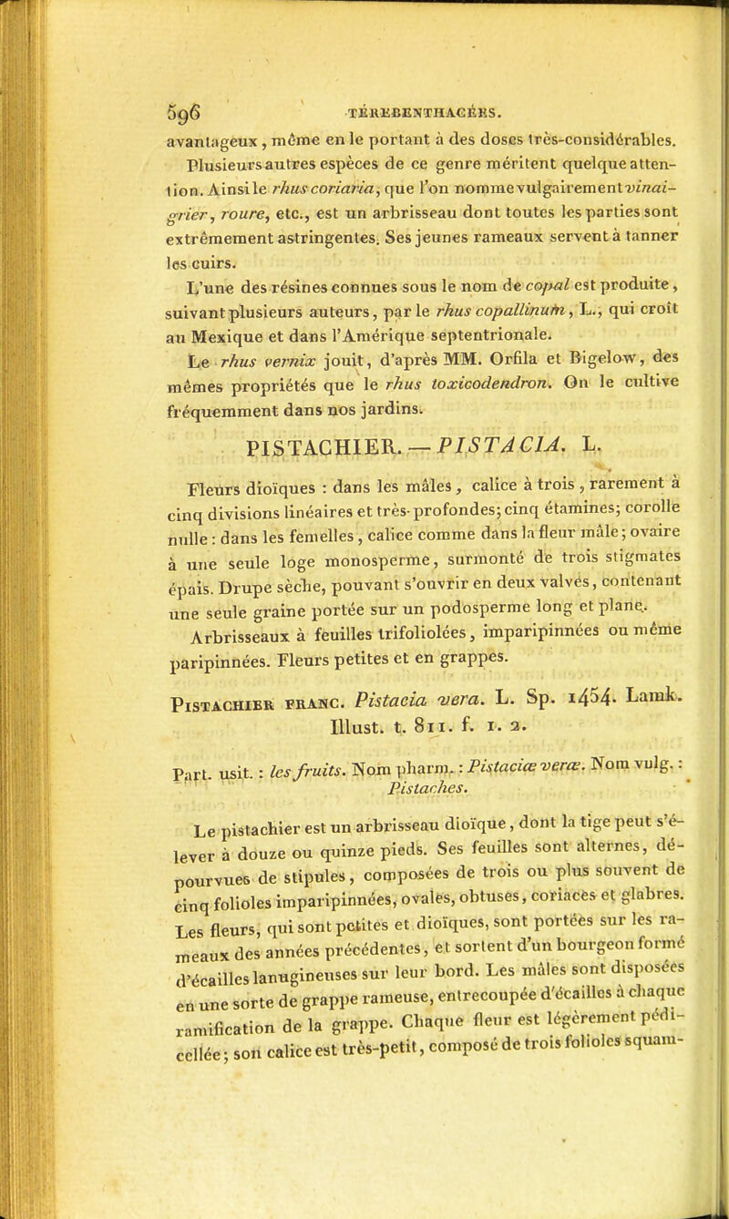 •m TÉRKBENTHAGÉKS. avantageux, même en le portant à des doses Irès-considérables. Plusieurs autres espèces de ce genre méritent quelque atten- tion. Ainsile rhuscoriaria,(\ne l'on nommevulgairementwVzai- grier, roure^ etc., est un arbrisseau dont toutes les parties sont extrêmement astringentes. Ses jeunes rameaux servant à tanner les Guirs. L'une des résines connues sous le nom èt c&jMl est produite, suivant plusieurs auteurs, parle rhus copallinuAi, L., qui croît au Mexique et dans l'Amérique septentrionale. Le rhus oemia: jouit, d'après MM. Orfila et Digelow, des mêmes propriétés que le rhus toxicodendron. On le cultive fréquemment dans nos jardins. PISTACHIER. —pr^c;/^. L. Fleurs dioïques : dans les mâles, calice à trois , rarement à cinq divisions linéaires et très-profondes; cinq étamines; corolle nulle : dans les femelles, calice comme dans la fleur mâle ; ovaire à une seule loge monosperme, surmonté de trois stigmates épais. Drupe sèclie, pouvant s'ouvrir en deux valvés, contenant une seule graine portée sur un podosperme long et plane.. Arbrisseaux à feuilles trifoliolées, imparipinnées on même paripinnées. Fleurs petites et en grappes. Pistachier prakc. Pùtacia vera. L. Sp. i454. Larak. Illust. t. 811. f. I. a. Part. usit. : les fruits. Nom ])]iarm, : Pistaciçe .Nflni vulg. : ^ Pistaches. ■ • ■ Le pistachier est un arbrisseau dioïque, dont la tige peut s'é- lever à douze ou quinze pieds. Ses feuilles sont alternes, dé- pourvues de stipules, composées de trois ou plus souvent de éinq folioles imparipinnées, ovatès, obtuses, coriacès et glabres. Les fleurs, qui sont petites et dioïques, sont portéés sur les ra- ineaux des années précédentes, et sortent d'un bourgeon formé d'écaillés lanugineuses sur leur bord. Les mâles sont disposées en une sorte de grappe rameuse, entrecoupée d'écaillés à cl.aque ramification de la grappe. Chaque fleur est légèrement pédi- cellée • son calice est très-petit, composé de trois folioles squam- Jl