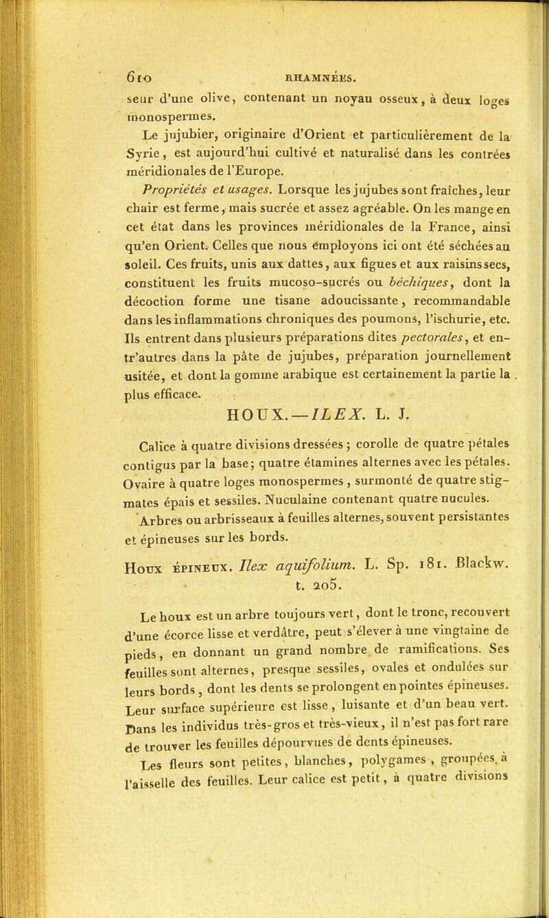 6lO RHAMîjÉliS. seur d'une olive, contenant un noyau osseux, à deux loges monospermes. Le jujubier, originaire d'Orient el particulièrement de la Syrie, est aujourd'hui cultivé et naturalisé dans les contrées méridionales de l'Europe. Propriétés et usages. Lorsque les jujubes sont fraîches, leur chair est ferme, mais sucrée et assez agréable. On les mange en cet état dans les provinces méridionales de la France, ainsi qu'en Orient. Celles que nous employons ici ont été séchéesau soleil. Ces fruits, unis aux dattes, aux figues et aux raisinssecs, constituent les fruits mucoso-sucrés ou béchiques, dont la décoction forme une tisane adoucissante, recommandable dans les inflammations chroniques des poumons, l'ischurie, etc. Ils entrent dans plusieurs préparations dites pectorales, et en- tr'autres dans la pâte de jujubes, préparation journellement usitée, et dont la gomme arabique est certainement la partie la plus efficace, HOUX. —L. J. Calice à quatre divisions dressées ; corolle de quatre ])étales contigus par la base; quatre étamines alternes avec les pétales. Ovaire à quatre loges monospermes , surmonté de quatre stig- mates épais et sessiles. Nuculaine contenant quatre nucules. Arbres ou arbrisseaux à feuilles alternes, souvent persistantes et épineuses sur les bords. Houx ÉPINEUX. Ilex aquifolium. L. Sp. i8i. Blackw. t. 2o5. Le houx est un arbre toujours vert, dont le tronc, recouvert d'une écorce lisse et verdâtre, peut s'élever à une vingtaine de pieds, en donnant un grand nombre de ramifications. Ses feuilles sont alternes, presque sessiles, ovales et ondulées sur leurs bords , dont les dents se prolongent en pointes épineuses. Leur sui'face supérieure est lisse , luisante et d'un beau vert. Dans les individus très-gros et très-vieux, il n'est pas fort rare de trouver les feuilles dépourvues de dents épineuses. Les fleurs sont petites, blanches, polygames, groupées.à l'aisselle des feuilles. Leur calice est petit, à quatre divisions