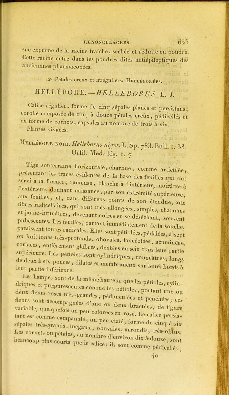 SUC exprimé de la racine fraîche, scellée et réduite en poudre. Cette racine entre dans les poudres dites antiépilcptiques des anciennnes pharmacopées. - 2 Pétales creux et irréguliers. Hellébobées. HELLÉBORE. —HELLEB.ORUS. L. J. Calice régulier, formé de cinq sépales planes et persistans; corolle composée de cinq à douze pétales creux, pédicellés et en forme de cornets; capsules au nombre de trois à six. Plantes Tivaces. Hellébore noir. Helleborus niger. L. Sp. 783. Bull, t 33 Orfîl. Méd. lég. t. 7. Tige souterraine horizontale, charnue , comme articulée présentant les traces évidentes de la base des feuilles qui on^ 1 exteneur, donnant naissance, par son extrémité supérieure aux feudies, et, dans différens points de son étendu Tu.' fibres rad:cellaires, qui sont très-a.longées, simples, char^ et jaune-brunâtres, devenant noires en se déséchan, souv n pubescentes. Les feuilles, partant ia.n.édiatement de la souche paraissent toutes radicales. Elles sontpétiolées, pédal es T ' î ou hnulobes tr.s-profonds, obovales^ancéolL^^^^^^^^^^ conaces, entièrement glabres, dentées en seie d.n leur partie supeneure Les pétioles sont cylindriques, rougeât es W -^s:::::;^^'—^^^^^ Aiux fleurs roses ,rj. j ! Pef'oles, portanl me ou v=.a«e. ,ue^.r:7e: ::::e™r::;. Les cornets ou péta es Tr,; r , ''^^^'r'S. beaucoup p,u. coms ^ e rcT, ° r'' ' 1 MIS que le cahcc ; ,U sont comme pédicellés 4o