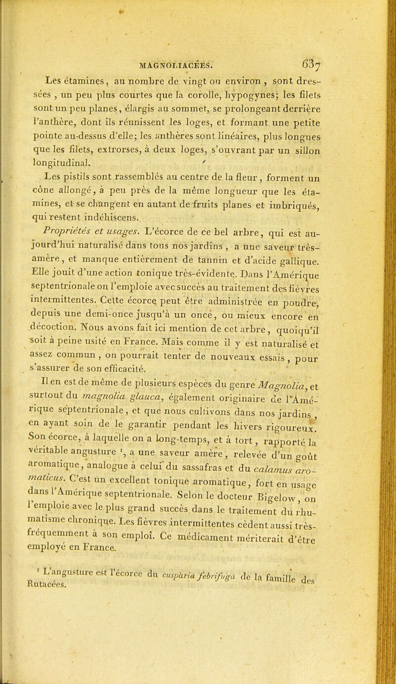 Les étamines, au nombre de vingt ou environ , sont dres- sées , un peu plus courtes que la corolle, hypogynes; les filets sont un peu planes, élargis au sommet, se prolongeant derrière l'anthère, dont ils réunissent les loges, et formant une petite pointe au-dessus d'elle; les anthères sont linéaires, plus longues que les filets, extz'orses, à deux loges, s'ouvrant par un sillon longitudinal. Les pistils sont rassemblés au centre de la fleur , forment un cône allongé, à peu près de la même longueur que les éta- mines, et se changent en autant de fruits planes et imbriqués, quirestent indéhiscens. Propriétés et usages. L'écorce de ce bel arbre, qui est au- jourd'hui naturalisé dans tous nos jardins , a une saveur très- amère, et manque entièrement de tannin et d'acide gallique. Elle jouit d'une action tonique très-évidente. Dans l'Amérique septentrionale on l'emploie avec succès au traitement des fièvres intermittentes. Celte écorce. peut être administrée en poudre, depuis une demi-once jusqu'à un once, ou mieux encore en décoction. Nous avons fait ici mention de cet arbre, quoiqu'il soit à peine usité en France. Mais comme il y est naturalisé et assez commun , on pourrait tenter de nouveaux essais , pour s'assurer de son efficacité. Il en est de même de plusieurs espèces du genre Magnolia, et surtout du magnolia glauca, également originaire de l'Amé- rique septentrionale , et que nous cullivons dans nos jardins en ayant soin de le garantir pendant les hivers rigoureuï Son écorce, à laquelle on a long-temps, et à tort, rapporté la véritable angusture a une saveur araère, relevée d'un goût aromatique, analogue à celuidu sassafras et du calamus aro- rnaticus. C'est un excellent tonique aromatique, fort en usage dans l'Amérique septentrionale. Selon le docteur Bigelow on remploie avec le plus grand succès dans le traitement du rhu- matisme chronique. Les fièvres intermittentes cèdent aussi très- fréquemment à son emploi. Ce médicament mériterait d'être employé en France. Ru't^'ée?'''' cus^ariafebrifuga de la famill'e des