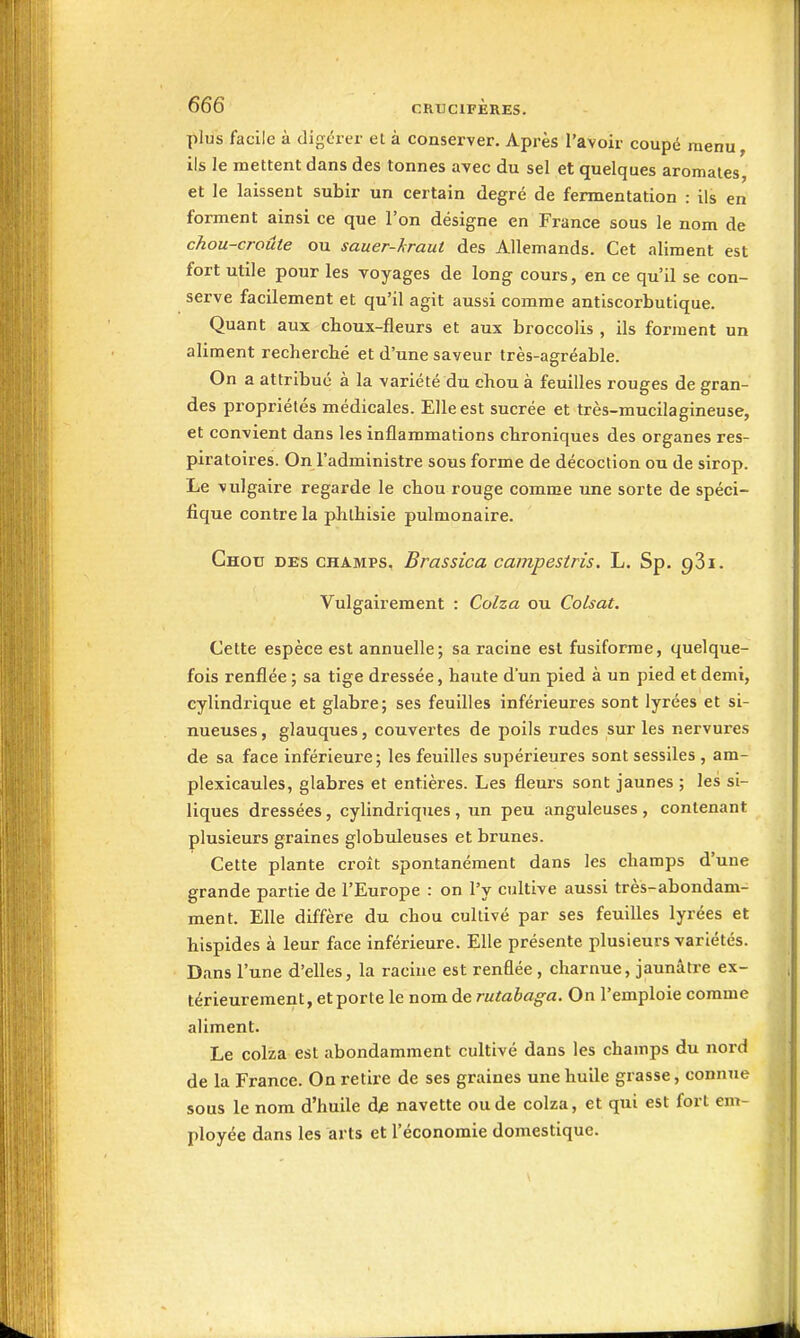 plus facile à digérer et à conserver. Après l'avoir coupé menu, ils le mettent dans des tonnes avec du sel et quelques aromates, et le laissent subir un certain degré de fermentation : ils en forment ainsi ce que l'on désigne en France sous le nom de chou-croûte ou sauer-kraut des Allemands. Cet aliment est fort utile pour les Toyages de long cours, en ce qu'il se con- serve facilement et qu'il agit aussi comme antiscorbutique. Quant aux choux-fleurs et aux broccolis , ils forment un aliment recherché et d'une saveur très-agréable. On a attribué à la variété du chou à feuilles rouges de gran- des propriétés médicales. Elle est sucrée et très-mucilagineuse, et convient dans les inflammations chroniques des organes res- piratoires. On l'administre sous forme de décoction ou de sirop. Le vulgaire regarde le chou rouge comme une sorte de spéci- fique contre la phlhisie pulmonaire. Chou des champs, Brassica campestris. L. Sp. 981. Vulgairement : Colza ou Colsat. Cette espèce est annuelle; sa racine est fusiforme, quelque- fois renflée ; sa tige dressée, haute d'un pied à un pied et demi, cylindrique et glabre; ses feuilles inférieures sont lyrées et si- nueuses , glauques, couvertes de poils rudes sur les nervures de sa face inférieure; les feuilles supérieures sont sessiles , am- plexicaules, glabres et entières. Les fleurs sont jaunes ; les si- liques dressées, cylindriques , un peu anguleuses , contenant plusieurs graines globuleuses et brunes. Cette plante croît spontanément dans les champs d'une grande partie de l'Europe : on l'y cultive aussi très-abondam- ment. Elle diffère du chou cultivé par ses feuilles lyrées et hispides à leur face inférieure. Elle présente plusieurs variétés. Dans l'une d'elles, la racine est renflée, charnue, jaunâtre ex- térieurement, et porte le nom de rutabaga. On l'emploie comme aliment. Le colza est abondamment cultivé dans les champs du nord de la France. On retire de ses graines une huile grasse, connue sous le nom d'huile d;e navette ou de colza, et qui est fort em- ployée dans les arts et l'économie domestique.