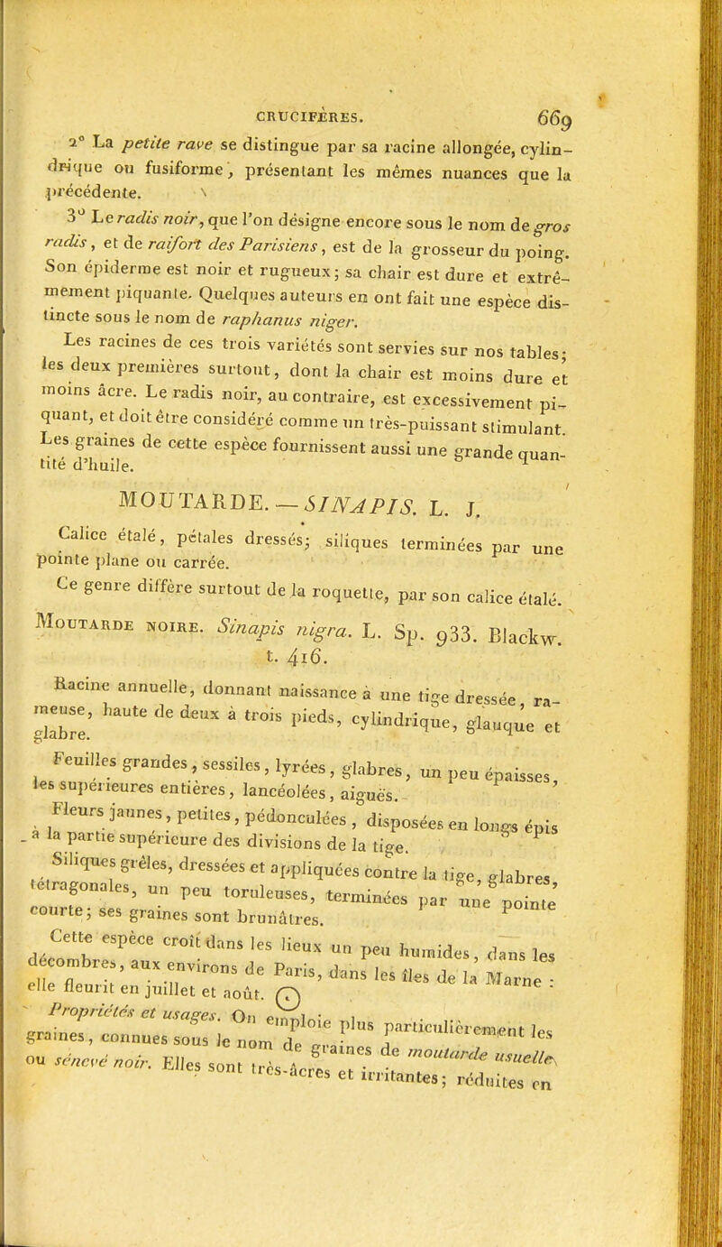 a La petite race se distingue par sa racine allongée, cylin- drique ou fusiforme , présentant les mêmes nuances que la précédente. n 3'' Le radis noir, que l'on désigne encore sous le nom devras racUs, et de raifort des Parisiens, est de la grosseur du poing. Son épiderme est noir et rugueux; sa chair est dure et extrê- mement piquanle. Quelques auteurs en ont fait une espèce dis- tincte sous le nom de raphanus niger. Les racines de ces trois variétés sont servies sur nos tables- les deux premières surtout, dont la chair est moins dure et moms âcre. Le radis noir, au contraire, est excessivement pi- quant, et doit être considéré comme un très-puissant stimulant Les graines de cette espèce fournissent aussi une grande auan- tité d'huile. ^ MOUTARDE.L. J. Calice étalé, pétales dressés; siliques terminées par une pointe plane ou carrée. Ce genre diffère surtout de la roquette, par son calice étalé. Moutarde noire. Sinapis nlgra. L. Sp. 933. Blackw t. 4i6. fiacine annuelle, donnant naissance à une tige dressée, ra- njeuse, haute de deux à trois pieds, cylindrique, glauque et Feuilles grandes sessiles, lyrées, glabres, un peu épaisses, les sui)erieures entières, lancéolées, aiguës Fleurs jaunes petites, pédonculées , disposées en lon^s épis . a la partie supérieure des divisions de la tige Siliques grêles, dressées et appliquées contre Ja tige, glabres ^etragonales, un peu toruleuses, terminées par une poL' courte; ses graines sont brunâtres. ^ Cette espèce croît dans les lieux un peu humides dans les décombres, aux environs de Paris, danf les îles de a' Marne elle fleurit en juillet et août. Q ^ 