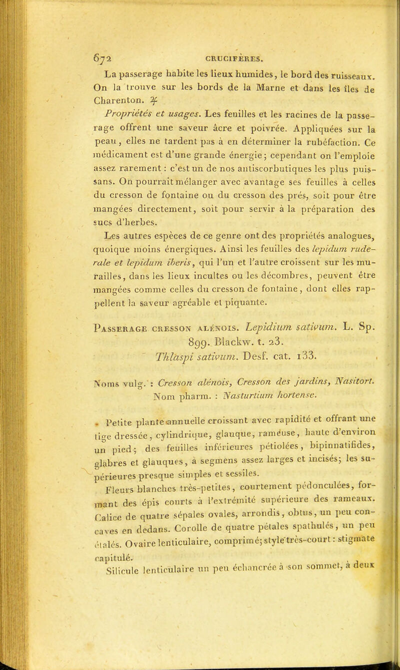 La passerage habite les lieux humides, le bord des ruisseaux. On la trouve sur les bords de la Marne et dans les îles de Charenton. ^ Propriétés et usages. Les feuilles et les racines de la passe- rage offrent une saveur âcre et poivrée. Appliquées sur la peau, elles ne tardent pas à en déterminer la rubéfaction. Ce médicament est d'une grande énergie; cependant on l'emploie assez rarement : c'est un de nos antiscorbutiques les plus puis- sans. On pourrait mélanger avec avantage ses feuilles à celles du cresson de fontaine ou du cresson des prés, soit pour être mangées directement, soit pour servir à la préparation des sucs d'herbes. Les autres espèces de ce genre ont des propriétés analogues, quoique moins énergiques. Ainsi les feuilles des lepidum rude- rale et lepidum iheris, qui l'un et l'autre croissent sur les mu- railles, dans les lieux incultes ou les décombres, peuvent être mangées comme celles du cresson de fontaine, dont elles rap- pellent la saveur agréable et piquante. Passerage cresson alénois. Lepidium satimm. L. Sp. 899. Blackw. t. 23. Thlaspi sativum. Tienï. cat. i33. Noms vulg.': Cresson alénois. Cresson des jardins, Nasitort. Nom pharm. : Nasturtium hortense. . Petite plante lannuelle croissant avec rapidité et offrant une lige dressée, cylindrique, glauque, ramëuse, haute d'environ un pied; des feuilles inférieures pétiolées, bipinnatifides, glabres et glauques, à segmens assez larges et incisés; les su- périeures presque simples et sessiles. Fleurs blanches très-petites, courtement pédonculces, for- mant des épis courts à l'extrémité supérieure des rameaux. Calice de quatre sépales ovales, arrondis, obtus, un peu con- caves en dedans. Corolle de quatre pétales spathulés, un peu .'•laïcs. Ovaire lenticulaire, comprimé; style très-court : stigmate capitulé. Silicule lenticulaire un peu écliancrée à -son sommet, a deux