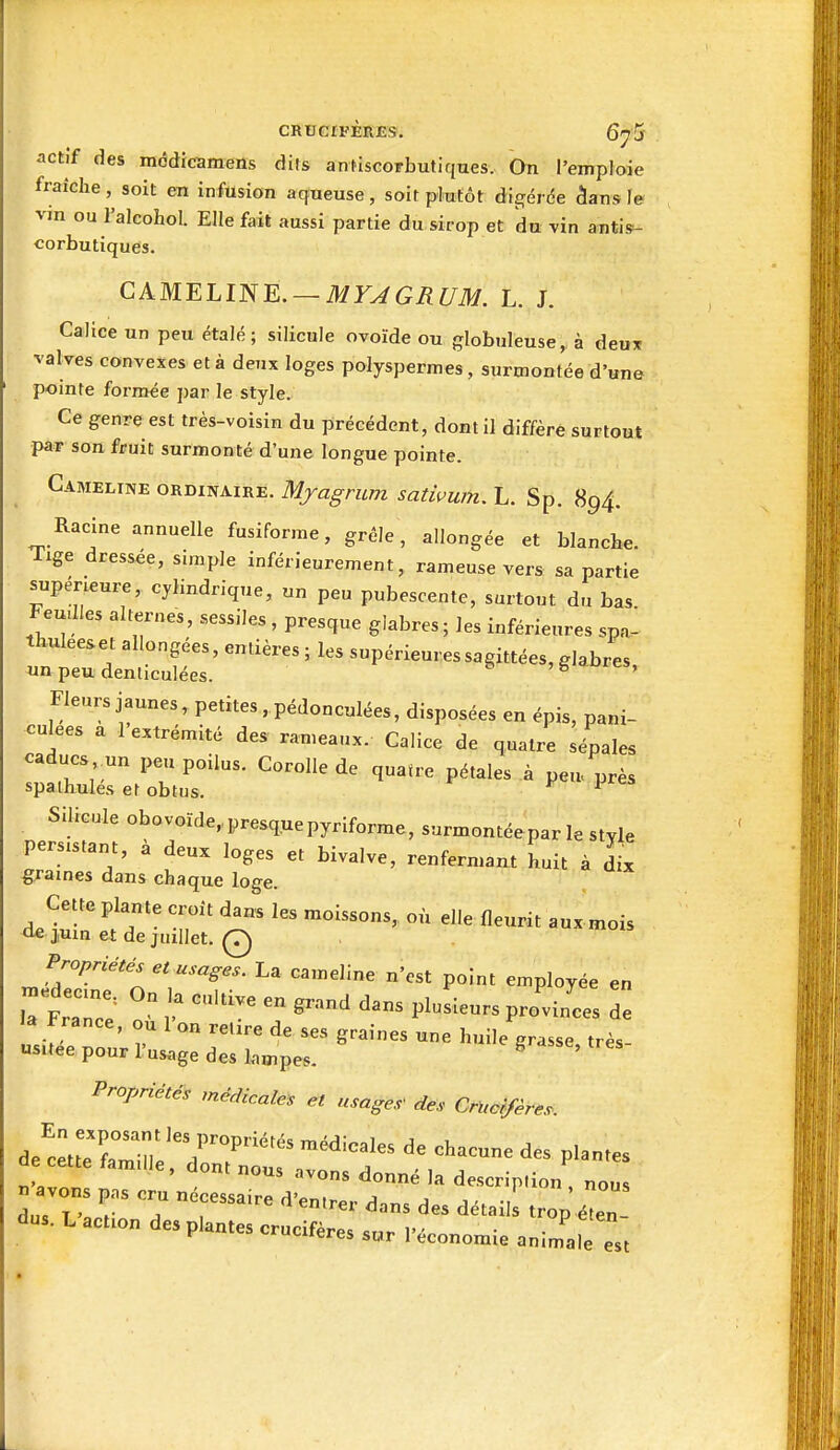 actif des mcdicamens dits anfiscorbutiques. On l'emploie fraîche, soit en infusion aqueuse, soit plutôt digérde âans le vin ou l'alcohol. Elle fait aussi partie du sirop et du vin antis- corbutiques. CAMELllSE. —MYy^GRUM. L. J. Calice un peu étalé; silicule ovoïde ou globuleuse,, à deux valves convexes et à deux loges polyspermes, surmontée d'une pointe formée ])ar le style. Ce genre est très-voisin du précédent, dont il diffère surtout par son fruit surmonté d'une longue pointe. Gameline ordinaire. Mjagrum sativum. L. Sp. 894. Racine annuelle fusiforme, grêle, allongée et blanche. Tige dressée, simple inférieurement, rameuse vers sa partie supérieure, cylindrique, un peu pubescente, surtout du bas Feu,IIes alternes, sessiles , presque glabres; les inférieures spa. thuleeset allongées, entières ; les snpérieur.essagittées, glabres un peu denticulées. ^ ' Fleurs jaunes, petites , pédonculées, disposées en épis, pani- culees a 1 extrémité des rameaux. Calice de quatre sépales caducs un peu poilus. Corolle de quatre pétales à peu près spaihulés et obtus. ^ ^ Silicule obovoïde,,presq.uepyriforme, surmontéepar le style persistant, à deux loges et bivalve, renfermant huit à dix graines dans chaque loge. Cette plante croit dans les moissons,, où elle fleurit aux mois a« juin et de juillet. Q Propriétés et usages. La cameline n'est point employée en la France, ou l'on relire de ses graines une huile grasse très us.tee pour l'usage des lampes. ^ ' Propriétés médicales et usages' des Cn^o^fères. d cette famille, dont nous avons donné la description , nous n avons pas cru nécessaire d'entre,- A a 1 - -, dii« T j , détails trop éfen- aus. L action des p antes criiri'f*.T.»c 1,. . ^ F dntes cruciteres sor l'économie animale est