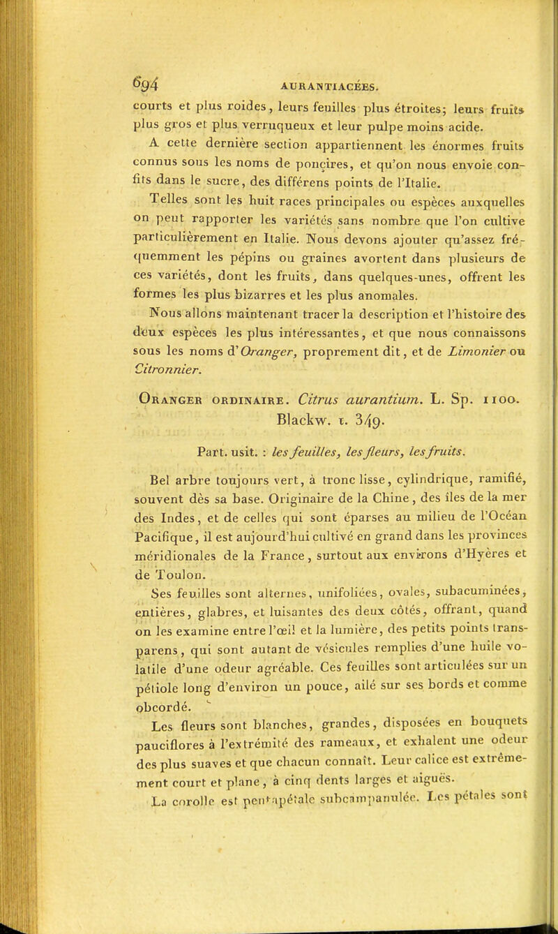 courts et plus roides, leurs feuilles plus étroites; leurs fruit» plus gros et plus verruqueux et leur pulpe moins acide. A cette dernière section appartiennent les énormes fruits connus sous les noms de ponçires, et qu'on nous envoie con- fits dans le sucre, des différens points de l'Italie. Telles sont les huit races principales ou espèces auxquelles on peut rapporter les variétés sans nombre que l'on cultive particulièrement en Italie. Nous devons ajouter qu'assez fré- quemment les pépins ou graines avortent dans plusieurs de ces variétés, dont les fruits, dans quelques-unes, offrent les formes les plus bizarres et les plus anomales. Nous allons maintenant tracer la description et l'histoire des dtux espèces les plus intéressantes, et que nous connaissons sous les noms Oranger, proprement dit, et de Limonier on Citronnier. Oranger ordinaire. Citrus aurantium. L. Sp. iioo. Blackw. t. 349. Part. usit. : les feuilles, les fleurs, lesfruits. Bel arbre toujours vert, à tronc lisse, cylindrique, ramifié, souvent dès sa base. Originaire de la Chine , des îles de la mer des Indes, et de celles qui sont éparses au milieu de l'Océan Pacifique, il est aujourd'hui cultivé en grand dans les provinces méridionales de la France, surtout aux environs d'Hyères et de Toulon. Ses feuilles sont alternes, unifoliées, ovales, subacuminées, entières, glabres, et luisantes des deux côtés, offrant, quand on les examine entre l'œi! et la lumière, des petits points Irans- parens, qui sont autant de vésicules remplies d'une huile vo- latile d'une odeur agréable. Ces feuilles sont articulées sur un pétiole long d'environ un pouce, ailé sur ses bords et comme obcordé. Les fleurs sont blanches, grandes, disposées en bouquets pauciflores à l'extrémité des rameaux, et exhalent une odeur des plus suaves et que chacun connaît. Leur calice est extrême- ment court et plane, à cinq dents larges et aiguës. La corolle est pen^apétale subcam]ianulée. Les pétales sont