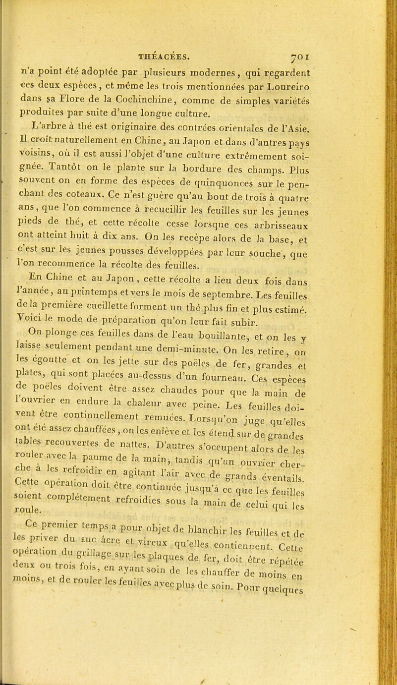 n'a point été adoptée par plusieurs modernes, qui regardent ces deux espèces , et même les trois mentionnées par Loureiro dans ça Flore de la CocLinchine, comme de simples variétés produites par suite d'une longue culture. L'arbre à thé est originaire des contrées orientales de l'Asie. Il croîtrnaturellement en Chine, au Japon et dans d'autres pays voisins, où il est aiissi l'objet d'une culture extrêmement soi- gnée. Tantôt on le plante sur la bordure des champs. Plus souvent on en forme des espèces de quinquonces sur le pen- chant des coteaux. Ce n'est guère qu'au bout de trois à quatre ans, que l'on commence à recueillir les feuilles sur les jeunes pieds de thé, et cette récolte cesse lorsque ces arbrisseaux ont atteint huit à dix ans. On les recèpe alors de la base, et c'est sur les jeunes pousses développées par leur souche, que l'on recommence la récolte des feuilles. En Chine et au Japon, cette récolte a lieu deux fois dans l'année, au printemps et vers le mois de septembre. Les feuilles delà première cueillette forment un thé plus fin et plus estimé. Voici le mode de préparation qu'on leur fait subir. On plonge ces feuilles dans de l'eau bouillante, et on les y laisse seulement pendant une demi-minute. On les retire on les égoutte et on les jette sur des poêles de fer, grandes et plates, qui sont placées au-dessus d'un fourneau. Ces espèces de poêles doivent être assez chaudes pour que la main de 1 ouvi.er en endure la chaleur avec peine. Les feuilles doi- vent être continuellement remuées. Lorsqu'on juge qu'elles ont été assez chauffées , on les enlève et les étend sur de grandes lab es recouvertes de nattes. D'autres s'occupent alors de les che^ les refro.d.r en agitant l'air avec de grands éventails Cette operafon doit être continuée jusqu'à ce que les feu 1 s so.ent complètement refroidies sous la main d2 celui qu les Ce premier temps a pour objet de blanchir les feuilles et de les priver du suc âcr, et v.ireux qu'elles contiennent. C t e opération du gii lage.s^, I,s plaques de fer, doit être rép deux ou trois fo.s, en ayant soin de les chauffer de moir '! -oins, et de rouler les feuilles avecp,„s de soin. Pour q:: ,