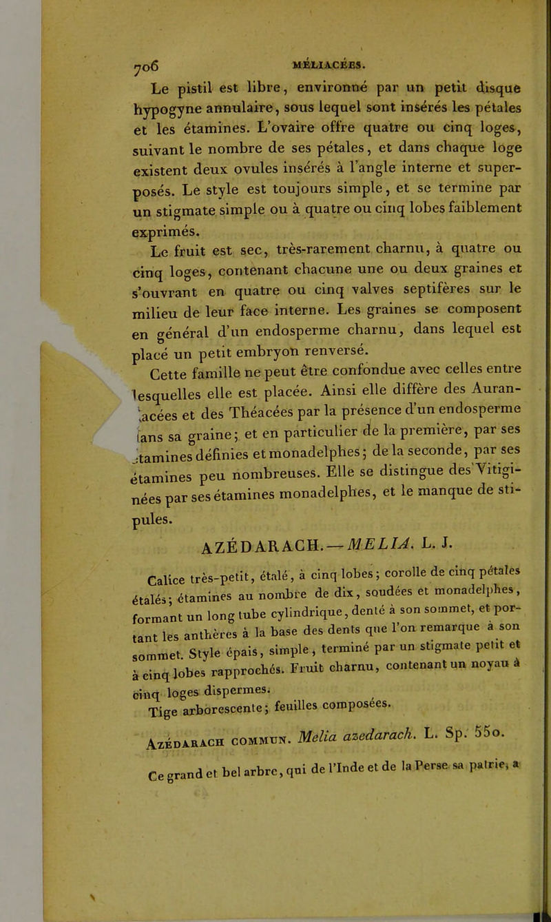 yoô MÉLIA.CÉES. Le pistil est libre, environné par un petit disque hypogyne annulaire, sous lequel sont insérés les pétales et les étamines. L'ovaire offre quatre ou cinq loges, suivant le nombre de ses pétales, et dans chaque loge existent deux ovules insérés à l'angle interne et super- posés. Le style est toujours simple, et se termine par un stigmate simple ou à quatre ou cinq lobes faiblement exprimés. Le fruit est sec, très-rarement charnu, à quatre ou cinq loges, contenant chacune une ou deux graines et s'ouvrant en. quatre ou cinq valves septifères sur le milieu de leur fâce interne. Les graines se composent en général d'un endosperme charnu, dans lequel est placé un petit embryon renversé. Cette famille ne peut être confondue avec celles entre lesquelles elle est placée. Ainsi elle diffère des Auran- lacées et des Théacées par la présence d'un endosperme Lns sa graine; et en particulier ^e la première, par ses itaminesdéfinies etmonadelphes; delà seconde, par ses étamines peu nombreuses. Elle se distingue desTitigi- nées par ses étamines monadelphes, et le manque de sti- pules. AZÈBARKCU. —M ELU. L. J. Calice très-petit, étalé, à cînq lobes; corolle de cinq pétales étalés- étamines au nomJjie de dix, soudées et monadelphes, formant un long tube cylindrique, denté à son sommet, et por- tant les anthères à la base des dents que l'on remarque a son sommet. Style épais, simple, terminé par un stigmate peut et à cinq lobes rapprochés. Fruit charnu, contenant un noyau à cinq loges dispermes. Tige arborescente; feuilles composées. AxÉDARACH COMMUN. Meliu azectamch, L. Sp. 55o. Ce grand et bel arbre, qni de l'Inde et de la Perse sa pairie, a