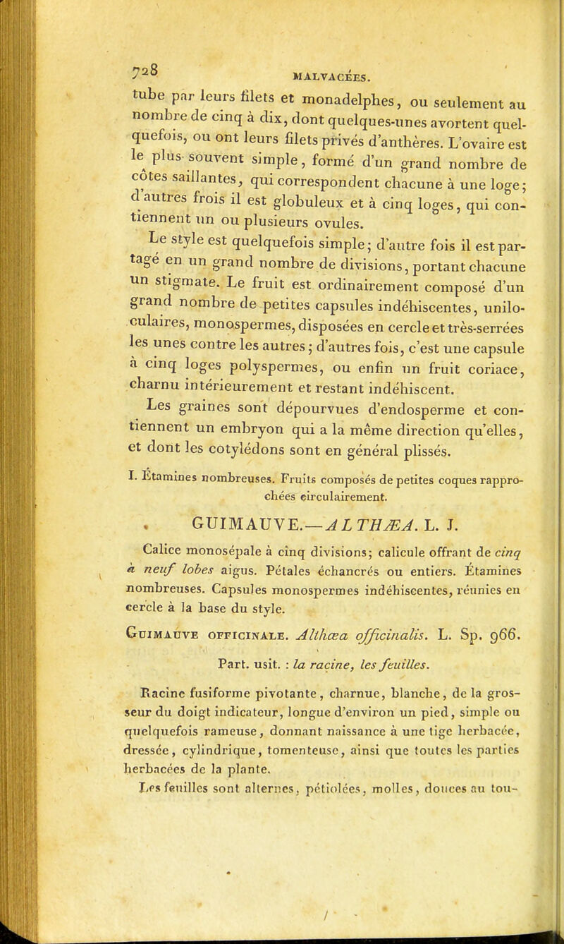 tube par leurs filets et monadelphes, ou seulement au nombre de cinq à dix, dont quelques-unes avortent quel- quefois, ou ont leurs filets privés d'anthères. L'ovaire est le plus-souvent simple, formé d'un grand nombre de cotes saillantes, qui correspondent chacune à une loge; d autres frois il est globuleux et à cinq loges, qui con- tiennent un ou plusieurs ovules. Le style est quelquefois simple; d'autre fois il est par- tagé en un grand nombre de divisions, portant chacune un stigmate. Le fruit est ordinairement composé d'un grand nombre de petites capsules indéhiscentes, unilo- culaires, raonospermes, disposées en cercle et très-serrées les unes contre les autres ; d'autres fois, c'est une capsule à cinq loges polyspermes, ou enfin un fruit coriace, charnu intérieurement et restant indéhiscent. Les graines sont dépourvues d'endosperme et con- tiennent un embryon qui a la même direction qu'elles, et dont les cotylédons sont en général phssés. I. Etamines nombreuses. Fruits composés de petites coques rappro- chées eirculairement. GTJIMAJJYE. —J LTE JE J. L. L Calice monosépale à cinq divisions; calicule offrant de cinq à neuf lobes aigus. Pétales échancrés ou entiers. Étamines nombreuses. Capsules monospermes indéhiscentes, réunies eu cercle à la base du style. Guimauve officinale. Althœa officirialis. L. Sp. 966. Part. usit. : la racine, les feuilles. Racine fusiforme pivotante, charnue, blanche, de la gros- seur du doigt indicateur, longue d'environ un pied, simple ou quelquefois rameuse, donnant naissance à une tige herbacée, dressée, cylindrique, tomenteusc, ainsi que toutes les parties herbacées de la plante. Les feuilles sont alternes, pctiolées, molles, douces au tou- /