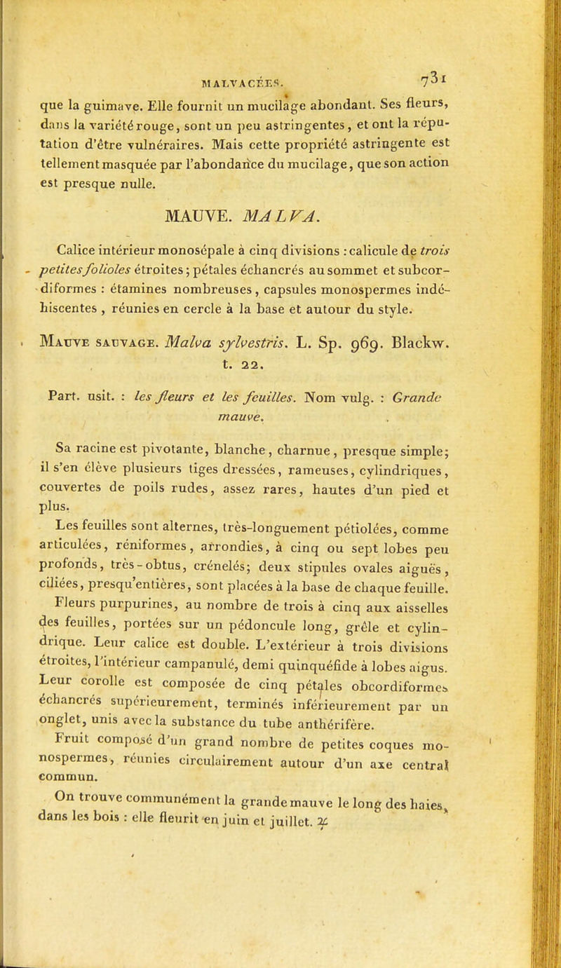 que la guimave. Elle fournit un mucilage abondant. Ses fleurs, dans la variété rouge, sont un peu astringentes, et ont la répu- tation d'être vulnéraires. Mais cette propriété astringente est tellement masquée par l'abondarice du mucilage, que son action est presque nulle. MAUVE. MALVA. Calice intérieur monosépale à cinq divisions :calicule de trois pe/zVejyôAo/e^ étroites; pétales écbancrés au sommet etsubcor- diformes : étamines nombreuses, capsules monospermes indé- hiscentes , réunies en cercle à la base et autour du style. Mauve sauvage. Malva syhestris. L. Sp. 969. Blackw. t. 22. Part. usit. : les fleurs et les feuilles. Nom vulg. : Grande mauve. Sa racine est pivotante, blanche , charnue, presque simple; il s'en élève plusieurs tiges dressées, rameuses, cylindriques, couvertes de poils rudes, assez rares, hautes d'un pied et plus. Les feuilles sont alternes, très-longuement pétiolées, comme articulées, réniformes, arrondies, à cinq ou sept lobes peu profonds, très-obtus, crénelés; deux stipules ovales aiguës, ciliées, presqu'entières, sont placées à la base de chaque feuille. Fleurs purpurines, au nombre de trois à cinq aux aisselles des feuilles, portées sur un pédoncule long, grêle et cylin- drique. Leur calice est double. L'extérieur à trois divisions étroites, l'intérieur campanulé, demi quinquéfide à lobes aigus. Leur corolle est composée de cinq pétales obcordiforme^ échancrés supérieurement, terminés inférieurement par un onglet, unis avecla substance du tube anthérifère. Fruit composé d'un grand nombre de petites coques mo- nospermes, réunies circulairement autour d'un axe central commun. On trouve communément la grande mauve le long des haies, dans les bois : elle fleurit en juin et juillet. 2i