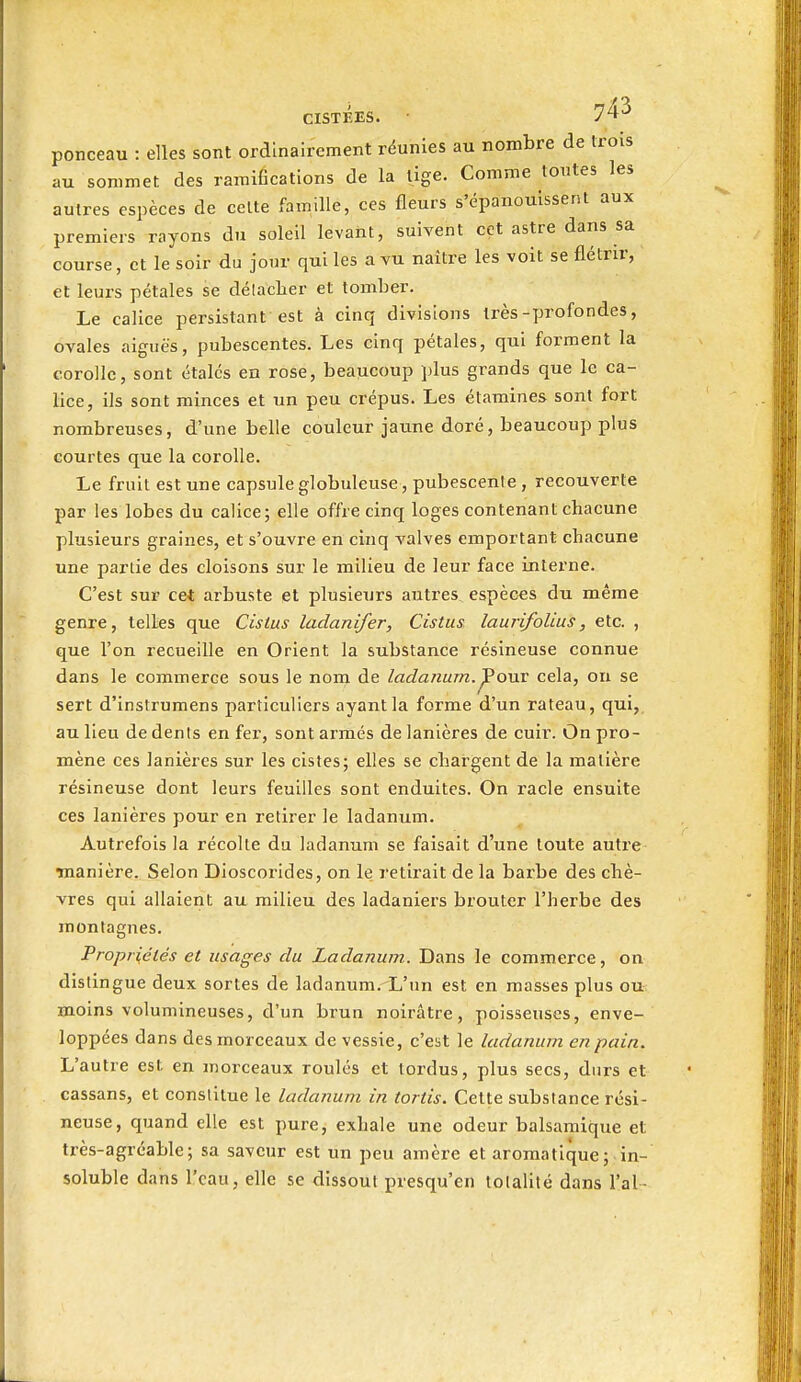 ponceau : elles sont ordinairement réunies au nombre de trois au sommet des ramifications de la tige. Comme tontes les autres espèces de celte famille, ces fleurs s'épanouissent aux premiers rayons du soleil levant, suivent cet astre dans sa course, et le soir du jour qui les a yu naître les voit se flétrir, et leurs pétales se délacher et tomber. Le calice persistant est à cinq divisions très-profondes, ovales aiguës, pubescentes. Les cinq pétales, qui forment la corolle, sont étales en rose, beaucoup plus grands que le ca- lice, ils sont minces et un peu crépus. Les étamines sont fort nombreuses, d'une belle couleur jaune doré, beaucoup plus courtes que la corolle. Le fruit est une capsule globuleuse, pubescenle , recouverte par les lobes du calice; elle offre cinq loges contenant chacune plusieurs graines, et s'ouvre en cinq valves emportant chacune une partie des cloisons sur le milieu de leur face interne. C'est sur cet arbuste et plusieurs autres espèces du même genre, telles que Cistus laclanifer, Cistiis laurifolius, etc. , que l'on recueille en Orient la substance résineuse connue dans le commerce sous le nom de ladanum.^ouv cela, ou se sert d'instrumens particuliers ayant la forme d'un râteau, qui,, au lieu de dents en fer, sont armés de lanières de cuir. On pro- mène ces lanières sur les cistes; elles se chargent de la matière résineuse dont leurs feuilles sont enduites. On racle ensuite ces lanières pour en retirer le ladanum. Autrefois la récolte du ladanum se faisait d'une toute autre TOanière. Selon Dioscorides, on le retirait de la barbe des chè- vres qui allaient au milieu des ladaniers brouter l'herbe des montagnes. Propriétés et usages du Ladanum. Dans le commerce, on distingue deux sortes de ladanum. L'un est en masses plus ou moins volumineuses, d'un brun noirâtre, poisseuses, enve- loppées dans des morceaux de vessie, c'est le ladanum en pain. L'autre est en morceaux roulés et tordus, plus secs, durs et cassans, et constitue le ladanum in tortis. Cette substance rési- neuse, quand elle est pure, exhale une odeur balsamique et très-agréable; sa saveur est un peu amère et aromatique; in- soluble dans l'eau, elle se dissout presqu'en totalité dans l'ai-