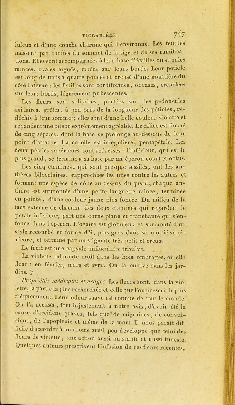 luleux et d'une couche charnue qui' l'environne. Les feuilles naissent par touffes du sommet de îa tige et de ses ramifica- tions. Elles sont accompagnées à leur base d'écaillés ou stipules minces, ovales aiguës, ciliées sur leurs bords. Leur pétiole est long de trois à quatre pouces et creusé d'une gouttière du côté interne : les feuilles sont cordiformes, obtuses, crénelées sur leurs bords, légèrement pubescentes. Les fleurs sont solitaires , portées sur des pédoncules axillaires, grêles , à peu près de la longueur des pétioles, ré- fléchis à leur sommet; elles sont d'une belle couleur violette et répandent une odeur extrêmement agréable. Le calice est formé de cinq sépales, dont la base se prolonge au-dessous de leur point d'attache. La corolle est irrégulière, pentapétale. Les deux pétales supérieurs sont redressés : l'inférieur, qui est le plus graiid , se termine à sa base par un éperon court et obtus. Les cinq étamines, qui sont presque sessiles, ont les an- thères biloculaires, rapprochées les unes contre les autres et formant une espèce de cône au-dessus du pistil; chaque an- thère est surmontée d'une petite languette mince, terminée en pointe , d'une couleur jaune plus foncée. Du milieu de la face externe de chacune des deux étamines qui Regardent le pétale inférieur, part une corne plane et tranchante qui s'en- fonce dans l'éperon. L'ovaire est globuleux et surmonté d'un style recourbé Cn forme d'S, plus gros dans sa moitié supé- rieure, et terminé par un stigmate très-petit et creux. Le fruit est une capsule uniloculaire trivalve. La violette odorante croît dans les bois ombragés, où elle fleurit en février, mars et avril. On la cultive dans les jar- dins. ^ Propriétés médicales et usages. Les fleurs sont, dans la vio- lette, la partie la plus recherchée et celle que l'on prescrit le plus fréquemment. Leur odeur suave est connue de tout le monde. On l'a accusée, fort injustement à notre avis, d'avoir été la cause d'accidens graves, tels que'de migraines, de convul- sions, de l'apoplexie et même de la mort. Il nous paraît dif- ficile d'accorder à un arôme aussi peu développé que celui des fleurs de violette, une action aussi puissante et aussi funeste. Quelques auteurs prescrivent l'Infusion de ces fleurs récentes