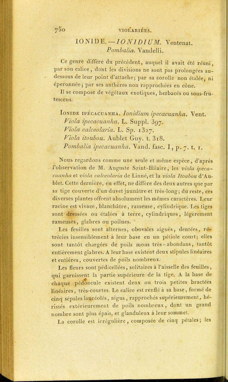 lOmDE.—IONIDIUM. Ventenat. Pombalia. Vandelli. Ce genrë diffère du précédent, auquel il avait été réuni, par sou calice , dont les divisions ne sont pas prolongées au- dessous de leur point d'aLlaclie; par sa corolle non étalée, ni éperonnée j par ses anthères non rapprochées en cône. II se compose de végétaux exotiques, herbacés ou sous-fru- tescens. loNiDE IPÉCACUANHA. lonidium ipecacuanha. Vent. P^iola ipecacuanha. L. Suppl. 397. Viola calceolaria. L. Sp. i32y. Viola itouhou. Aublet Guy. t. 3i8. Pombalia ipecacuanha. Vand; fasc. I, p. 7. t. ï. Nous regardons comme une seule et même espèce, d'après l'observation de M. Auguste Saint-Hiiaire, les viola ipeca- cuanha et viola calceolaria de Linné, et la viola Itouhou d'Au- blet. Cette dernière, en effet, ne diffère des deux autres que par sa tige couverte d'un duvet jaunâtre et très-long; du reste, ces diverses plantes offrent absolument les mêmes caractères. Leur racine est vivace, blanchâtre, rameuse, cylindrique. Les liges sont dressées ou étalées à terre, cylindriques, légèrement rameuses, glabres ou poilues. Les feuilles sont alternes, obovales a iguës, dentées, rc^ trécies insensiblement à leur base en un pétiole court; elles sont tantôt chargées de poils mous très - abondans, tantôt entièrement glabres. A leur base existent deux stipules linéaires et entières, couvertes de poils nombreux. Les fleurs sont pédlcellées, solitaires à l'aisselle des feuilles , qui garnissent la partie supérieure de la tige. A la base de chaque pédoncule existent deux ou trois petites bractées linéaires, très-courtes. Le calice est i-enflé à sa base, formé de cinq sépales lancéolés, aigus, rapprochés supérieurement, hé- rissés extérieurement de poils nombreux , dont un grand nombre sont plus épais, et glanduleux à leur sommet. La corolle est irrégullère, composée de cinq pétales; les