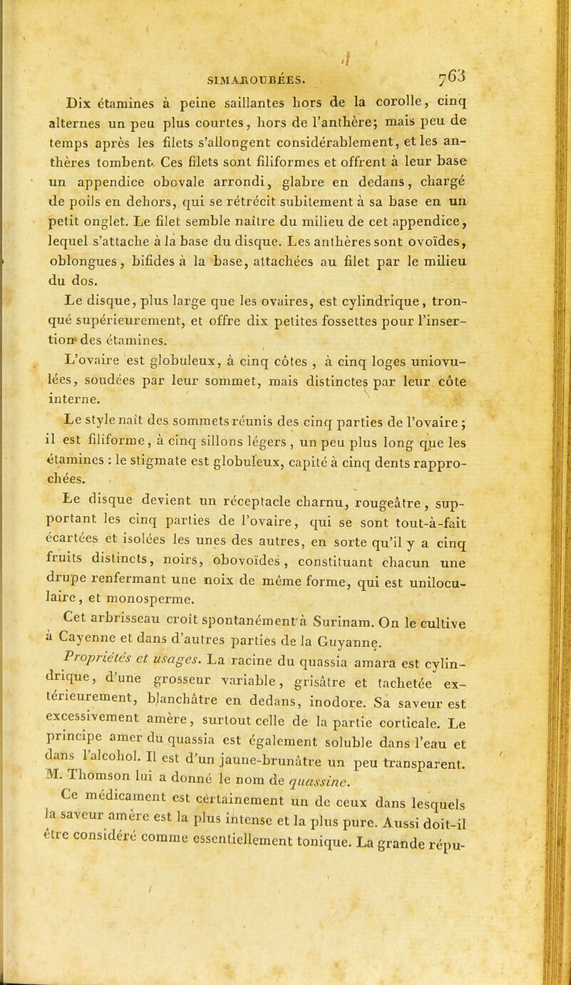 Dix étarnines à peine saillantes hors de la corolle, cinq alternes un peu plus courtes, hors de l'anthère; mais peu de temps après les filets s'allongent considérablement, et les an- thères tombent.. Ces filets sont filiformes et offrent à leur base un appendice obovale arrondi, glabre en dedans, chargé de poils en dehors, qui se rétrécit subitement à sa base en un petit onglet. Le filet semble naître du milieu de cet appendice, lequel s'attache à la base du disque. Les anthères sont ovoïdes, oblongues, bifides à la base, attachées au filet par le milieu du dos. Le disque, plus large que les ovaires, est cylindrique, tron- qué supérieurement, et offre dix petites fossettes pour l'inser- tion- des étamines. L'ovaire est globuleux, à cinq côtes , à cinq loges uniovu- lées, soudées par leur sommet, mais distinctes par leur côte interne. Le style naît des sommets réunis des cinq parties de l'ovaire ; il est filiforme, à cinq sillons légers , un peu plus long que les étamines : le stigmate est globuleux, capité à cinq dents rappro- chées. Le disque devient un réceptacle charnu, rougeâtre, sup- portant les cinq parties de l'ovaire, qui se sont tout-à-fait écartées et isolées les unes des autres, en sorte qu'il y a cinq fruits distincts, noirs, obovoïdes, constituant chacun une drupe renfermant une noix de même forme, qui est unilocu- laire, et monosperme. Cet arbrisseau croît spontanément à Surinam. On le cultive à Cayenne et dans d'autres parties de la Guyanne. Propriétés et usages. La racine du quassia amara est cylin- drique, d'une grosseur variable, grisâtre et tachetée ex- térieurement, blanchâtre en dedans, inodore. Sa saveur est excessivement amère, surtout celle de la partie corticale. Le principe amer du quassia est également soluble dans l'eau et dans l'alcohol. Il est d'un jaune-brunâtre un peu transparent. M. Thomson lui a donné le nom de quassinc. Ce médicament est certainement un de ceux dans lesquels Ja saveur amère est la plus intense et la plus pure. Aussi doit-il être considéré comme essentiellement tonique. La grande répu- /