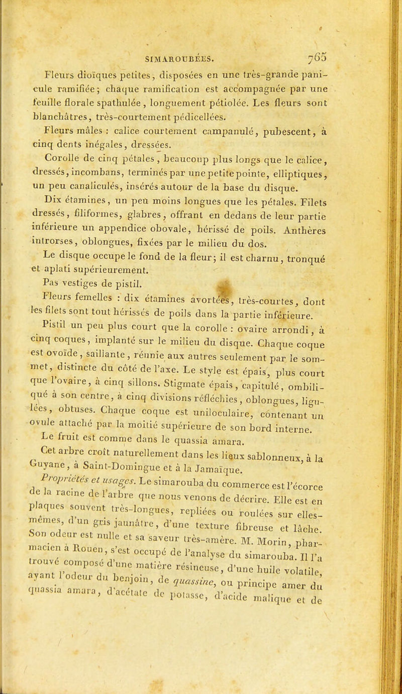 SIMAROtlBÉliS. Fleurs dioïques petites, disposées en une très-grande pani- cule ramifiée; chaque ramification est accompagnée par une feuille florale spatlmlée , longuement pétiolée. Les fleurs sont blanchâtres, très-courtement pédicellées. Fleurs mâles : calice courtement campanule, pubescent, à cinq dents inégales, dressées. Corolle de cinq pétales , beaucoup plus longs que le calice, dressés, incombans, terminés par une petitepointe, elliptiques, un peu canaliculés, insérés autour de la base du disque. Dix étamines, un peu moins longues que les pétales. Filets dressés, filiformes, glabres, offrant en dedans de leur partie inférieure un appendice obovale, hérissé de poils. Anthères inlrorses, oblongues, fixées par le milieu du dos. Le disque occupe le fond de la fleur; il est charnu, tronqué €t aplati supérieurement. Pas vestiges de pistil. ^ Fleurs femelles : dix étamines àvovtM, très-courtes, dont les filets sont tout hérissés de poils dans la partie inférieure. Pistil un peu plus court que la corolle : ovaire arrondi, à cinq coques, implanté sur le milieu du disque. Chaque coque est ovoïde, saillante, réunie aux autres seulement par le som- met, distincte du côté de l'axe. Le style est épais, plus court que l'ovaire, à cinq sillons. Stigmate épais, capitulé, ombili- que a son centre, à cinq divisions réfléchies, oblongues, ligu- lées, obtuses. Chaque coque est uniloculaire, contenant un ovule attaché par la moitié supérieure de son bord interne. Le fruit est comme dans le quassia amara. Cet arbre croît naturellement dans les lieux sablonneux, à la C^uyane, à Saint-Domingue et à la Jamaïque. Propriétés et usages. Le simarouba du commerce est l'écorce de la racne de l'arbre que nous venons de décrire. Elle est en plaques souvent très-longues, repliées ou roulées sur elles- H.emes, d un gris jaunâtre, d'une texture fibreuse et lâche Son odeur est nulle et sa saveur très-amère. M. Morin, phar^ .nacen a Rouen, s'est occupé do l'analyse du simarouba. Il 1'. trouve cou^posé d'une matière résineuse, d'une huile vo a i e ayant l'odeur du benjoin, de .uassine, 'ou principe am r du a.-s,a amara, d'acétate de potasse, d'acide ma ique de