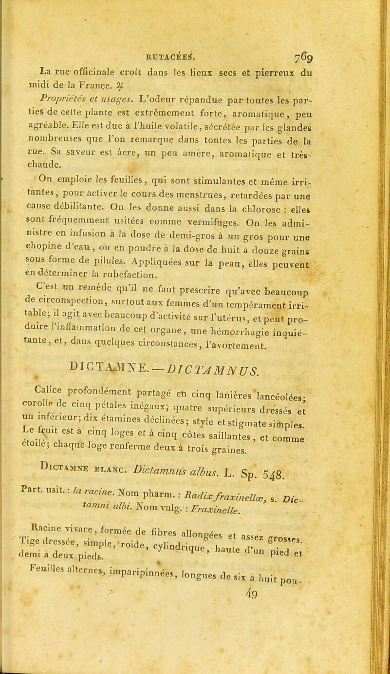 KUTACÉE3. y6g La rue officinale croît dans les lieux secs et pierreux du midi de la France. 2C Propriétés et usages. L'odeur répandue par toutes les pai^- ties de cette plante est extrêmement forte, aromatique, peu agréable. Elle est due à l'huile volatile, sécrétée par les glandes nombreuses que l'on remarque dans toutes les parties de la rue. Sa saveur est acre, un peu amère, aromatique et très- chaude. On emploie les feuilles, qui sont stimulantes et même irri- tantes, pour activer le cours des menstrues, retardées par une cause débilitante. On les donne aussi dans la chlorose : elles sont fréquemment usitées comme vermifuges. On les admi- nistre en infusion à la dose de demi-gros à un gros pour une chopine d'eau, ou en poudre à la dose de huit a douze grains sous forme de pilules. Appliquées sur la peau, elles peuvent en déterminer la rubéfaction. C'est un remède qu'il ne faut prescrire qu'avec beaucoup de cu'conspcction, surtout aux femmes d'un tempérament irri- table; d agit avec beaucoup d'activité sur l'utérus, et peut pro- duire l'inflammation de cet organe, une hémorrhagie inquié- tante, et, dans quelques circonstances, l'avortement. DIGT4.MNE._Z)/Cr^iI^7Vr£/^. Calice profondément partagé en cinq lanières lancéolées- corolle de cinq pétales inégaux,^ quatre supérieurs dressés e! un mfeneur; dix étamines déclinées; style et stigmate simples Le f^uit est a cmq loges et à cinq côtes saillantes, et comme étoile; chaque loge renferme deux à trois graines. DicTAMNE BLANC. Dictamuits albus. L. Sp. 548. Part. usit. : la racine. Nom pharm. : Racli..fraa:inellœ, s Die tamni albi. Nom vulg. : Fraxinelle. Racine vivace, formép rlp filiT./»» „ii , 4.9