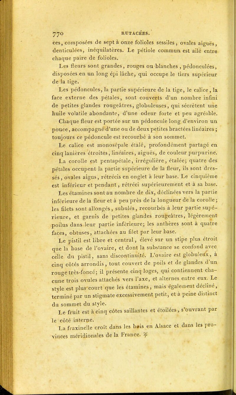 •J'JO nt/TACBES. ces, composées de sept à onze folioles sessilcs, ovales aiguës, denliculées, inéquiiatères. Le pétiole commun est ailé entre chaque paire de folioles. Les fleurs sont grandes, rouges ou blanches , pédonculées, disposées en un long épi lâche, qui occupe le tiers supérieur de la tige. Les pédoncules, la partie supérieure de la tige, le calice, la face externe des pétales, sont couverts d'un nombre infini de petites glandes rougeâtres, globuleuses, qui sécrètent une huile volatile abondante, d'une odeur forte et peu agréable. Chaque fleur est portée sur un pédoncule long d'environ un pouce, accompagné d'une ou de deux peti tes bractées linéaires ; toujours ce pédoncule est recourbé à son sommet. Le calice est monoscp.ile étalé, profondément partagé en cinq lanières étroites, linéaires, aiguës, de couleur purpurine. La corolle est pentapélale, irrégulicre, étalée; quatre des pétales occupent la partie supérieure de la fleur, ils sont dres- sés , ovales aigus, rétrécis en onglet à leur base. Le cinquième est inférieur et pendant, rétréci supérieurement et à sa base. Les étamines sont au nombre de dix, déclinées vers la partie inférieure de la fleur et à peu près de la longueur de la corolle ; les filets sont allongés, subulés, recourbés à leur partie supé- rieure, et garnis de petites glandes rougeâtres, légèrement poilus dans leur partie inférieure; les anthères sont à quatre faces, obtuses, attachées au filet par leur base. Le pistil est libre et central, élevé sur un stipe plus étroit que la base de l'ovaire, et dont la substance se confond avec celle du pistil, sans discontinuité. L'ovaire est globuleux, à cinq côtés arrondis, tout couvert de poils et de glandes d'un rouge très-foncé; il présente cinq loges, qui contiennent cha- cune trois ovules attachés vers l'axe, et alternes entre eux. Le style est plus court que les étamines, mais également décliné, terminé par un stigmate excessivement petit, et à peine distinct du sommet du style. Le fruit est à cinq côtes saillantes et étoilées, sWrant par le côté Interne. La fraxinelle croît dans les b.is en Alsace et dans les pro- vinces méridionales de la France. ^