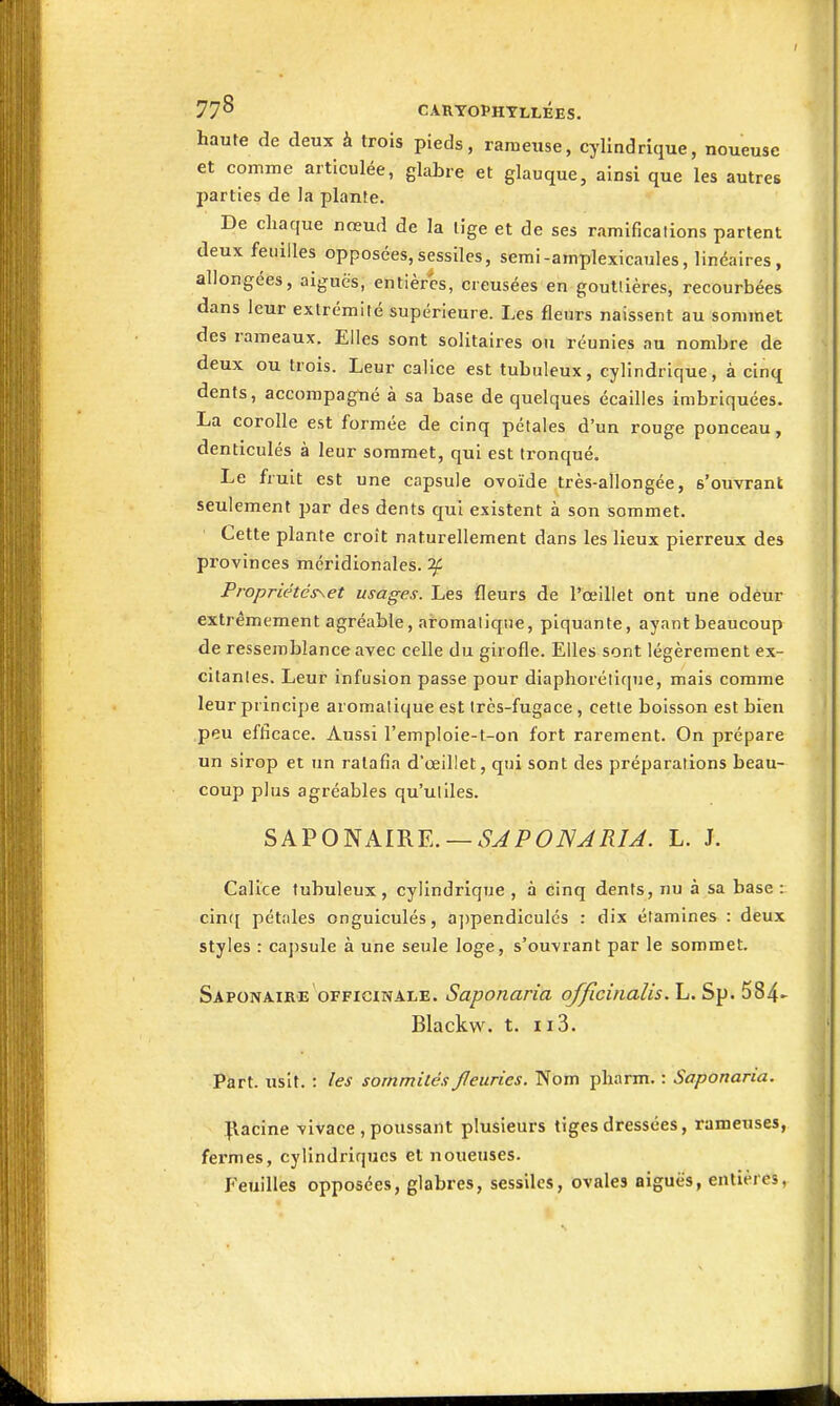 I 77^ CARTOPHTLLÉES. haute de deux à trois pieds, rameuse, cylindrique, noueuse et comme articulée, glabre et glauque, ainsi que les autres parties de la plante. De chaque nœud de la lige et de ses ramifications partent deux feuilles opposées,sessiles, semi-amplexicaules, linéaires, allongées, aiguës, entières, creusées en gouttières, recourbées dans leur extrémité supérieure. Les fleurs naissent au sommet des rameaux. Elles sont solitaires ou réunies nu nombre de deux ou trois. Leur calice est tubuleux, cylindrique, à cinq dents, accompagné à sa base de quelques écailles imbriquées. La corolle est formée de cinq pétales d'un rouge ponceau, denticulés à leur sommet, qui est ti-onqué. Le fruit est une capsule ovoïde très-allongée, s'ouvrant seulement par des dents qui existent à son sommet. Cette plante croît naturellement dans les lieux pierreux des pi-ovinces méridionales, 'if Propriétcs\et usages. Les fleurs de l'œillet ont une odèûr extrêmement agréable, aromalique, piquante, ayant beaucoup de ressemblance avec celle du girofle. Elles sont légèrement ex- citâmes. Leur infusion passe pour diaphorélique, mais comme leur principe aromalique est très-fugace , cette boisson est bien peu efficace. Aussi l'emploie-t-on fort rarement. On prépare un sirop et un ratafia d'œillet, qui sont des préparations beau- coup plus agréables qu'uliles. SAPONAIRE. —.9^P6)iV^7î/^. L. J. Calice tubuleux , cylindrique , à cinq dents, nu à sa base : cin([ pétales onguiculés, a])pendiculés : dix étamines : deux styles : capsule à une seule loge, s'ouvrant par le sommet. Saponaire OFFICINALE. Saponaria officinalis. L. Sp. 584- Blackw. t. II3. Part, iisit. : les sommités fleuries. Nom pharm. : Saponana. | .Racine vivace , poussant plusieurs tiges dressées, rameuses, fermes, cylindriques et nouetises. ; Feuilles opposées, glabres, sessiles, ovales aiguës, entières,