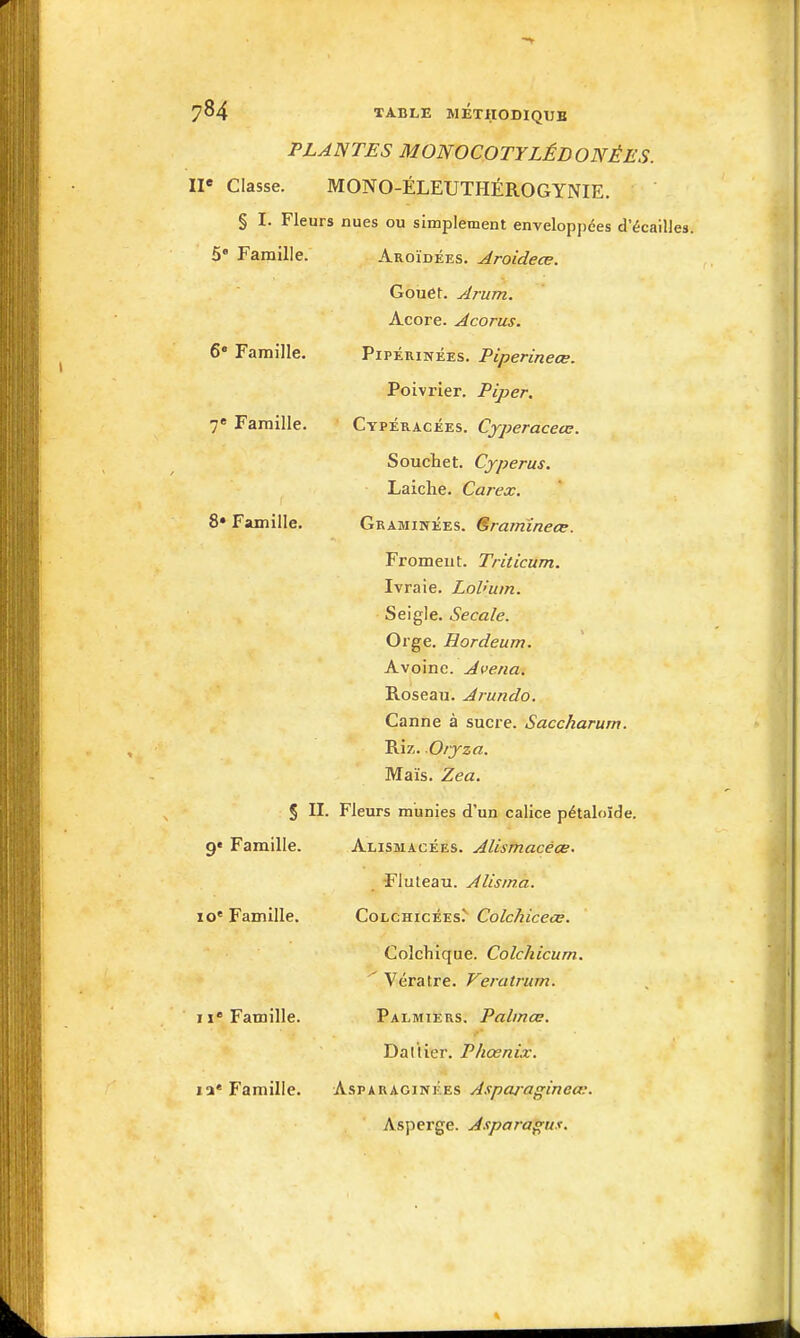 PLANTES MONOCOTYLÉDONÉES. n« Classe. MONO-ÉLEUTHÉROGYNIE. § I. Fleurs nues ou simplement enveloppées d'écaill 5* Famille. Aroïdées. Aroidece. Gouet. Arum. Acore. Acorus. 6' Famille, Pipérinées. Piperineœ. Poivrier. Piper. 7« Famille. Cypéracées. Cyperaceœ. Souchet. Cyperus. Laiche. Carex. 8» Famille. Graminées. Sramïneœ. Froment. Triticum. Ivraie. LoVum. Seigle. Secale. Orge. Hordeum. Avoine. Avenu. Roseau. Arundo. Canne à sucre. Saccharum. Riz. Orjza. Maïs. Zea. § II. Fleurs munies d'un calice pétaloïde. 9« Famille. Alismacées. Alismacéœ. Fluteau. Alisina. 10' Famille. Colchicées.'' Colchiceœ. Colchique. Colchicurn. ^ Vératre. Verairum. Il'Famille. Palmiers. Palmœ. Dattier, Phœnix. la* Famille. Asparaginées Aspcuagincœ. Asperge. Asparagus.