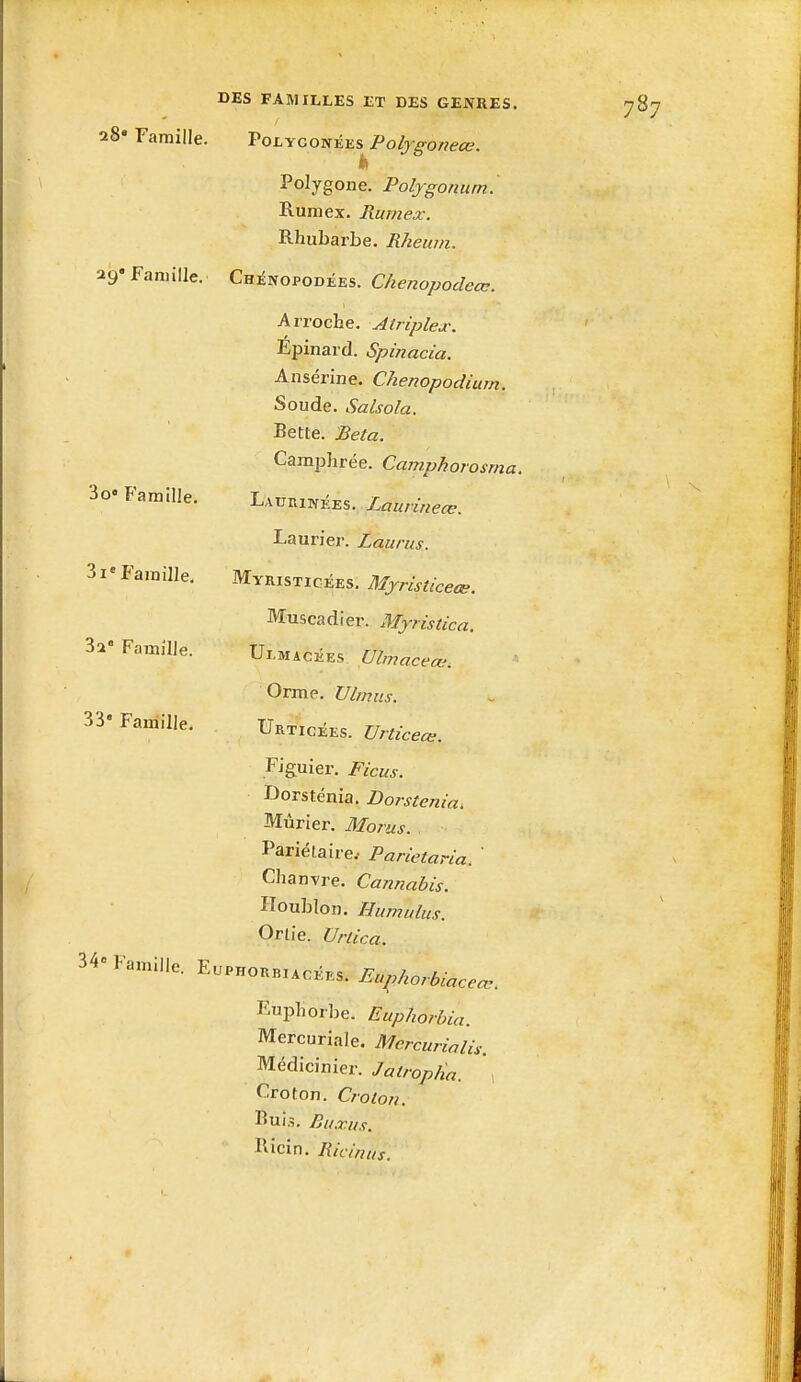 28» Famille. VoLycoixius^Pofygoneœ. Polygone. Pofygonum. Rumex. Rumex. Rhubarbe. Rheuin. 29'Fanulle. Chi^nopodées. Chenopocleœ. Arroche. Atriplejc. Epinard. Spinacia. Ansérine, Chenopodium. Soude. Salsola. Bette. Beta. Camphrée. Camphorosma. 3o. Famille. Lauihkées. Laurineœ. Laurier. Laurus. Si'Famille. Myristicées. Mjristiceœ. Muscadier. Myristica. 3sk' Famille. Ulmacées Ulmaceœ. Orme. Vlmus. 33- Famille. Urticées. Vrticeœ. Figuier. Ficus. Dorsténia. Dorstenia. Mûrier. Morus. Pariétaire.- Parietaria. ' Chanvre. Cannabis. Houblon. Humulus. Orlie. Urlica. 34- Famille. Euphorb..cées. Euphorbe. Euphorbia. Mercuriale. Mercurialis. Médicinier. Jatroplia. , Croton. Crotoji. Buis. Bu.ru s. Ricin. Ricin us.