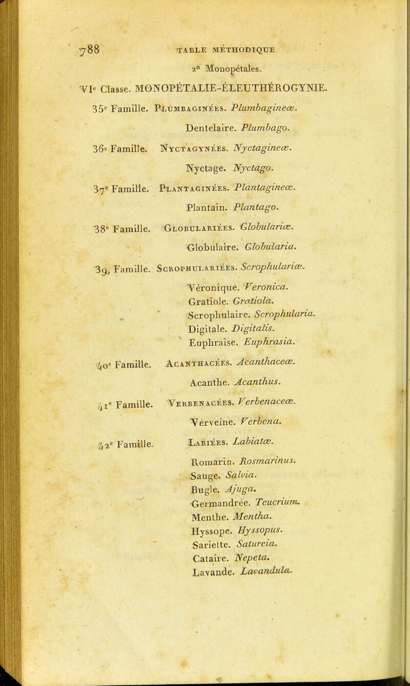 2° Monopétales. VI- Classe. M0NOPÉTALIE-ÉLEUTHÉROGYNIE. 35= Famille. PiiUMBAOïNÉKS. Plumbagineœ. Dentelaire. Plumbago. 36» Famille. Nyctagynkes. Nyctagineœ. Nyctage. Njctago. 37= Famille. Pxantaginées. Plantagineœ. Plantain. Plantago. 38 Famille. .'Globulariées. Globulariœ. Globulaire. Globularia. Famille. Scrophulariées. Scrophulariœ. ■Véronique. Veronica. Grafiole. {iratiola, Scropliulaire. Scrophularicu Digitale. Digitalis. Eupliraise. Euphrasia, AcANïHACÉES. Acanthaceœ. Acanthe. Acanthus. Verbekacées. Verbenaceœ.. Verveine. Verhena. Labiées. Labiatce. >4o' Famille. 41' Famille. '/,2' Famille. Romarin. Rosmarinus, Sauge. Salvia. Bugie. Ajuga. Germandrée. Teucrium. Menthe. Mentha. Hyssope. Hjssopus. Sarielte. Satureia. Cataire. Nepeta, Lavande. Lamndula-