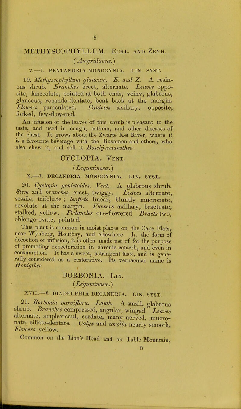 METHYSCOPHYLLUM. Eckl. and Zeyh. ( Amyridace(E.) V.—1. PENTANDKIA MONOGYNIA. LIN. SYST. 19. Methyscophyllum glaucum. E. and Z. A resin- ous shrub. Branches erect, alternate. Leaves oppo- site, lanceolate, pointed at both ends, veiny, glabrous, glaucous, repando-dentate, bent back at the margin. Flowers paniculated. Panicles axillary, opposite, forked, few-flowered. An infusion of the leaves of this shruh is pleasant to the taste, and used in coughj, asthma, and other diseases of the chest. It grows about the Zwarte Kei River, where it is a favourite beverage with the Bushmen and others, who also chew it, and call it Boschjesmansthee. CYCLOPIA. Vent. {Legumi?ios(B.) X.—1. DECANDEIA MONOGYNIA. LIN. SYST. 20. Cyclopia genistoides. Vent. A glabrous shrub. Stern and branches erect, twiggy. Leaves alternate, sessile, trifoliate ; leafiets linear, bluntly mucronate, revolute at the margin. Flowers axillary, bracteate, stalked, yellow. Peduncles one-flowered Bracts two, oblongo-ovate, pointed. This plant is common in moist places on the Cape Flats, near Wynberg, Houtbay, and elsewhere. In the form of decoction or infusion, it is often made use of for the purpose of promoting expectoration in chronic catarrh, and even in consumption. It has a sweet, astringent taste, and is gene- rally considered as a restorative. Its vernacular name is Honigthee. BORBONIA. Lin. {Leguminosoe.^ XVII.—6. DIADELPHIA DECANDRIA. LIN. SYST. 21. Borhonia parviflora. Lanik. A small, glabrous shrub. Branches compressed, angular, winged. Leaves alternate, amplexicaul, cordate, many-nerved, mucro- nate, ciliato-dentate. Calyx and corolla nearly smooth. Flowers yellow. Common on the Lion's Head and on Table Mountain, B