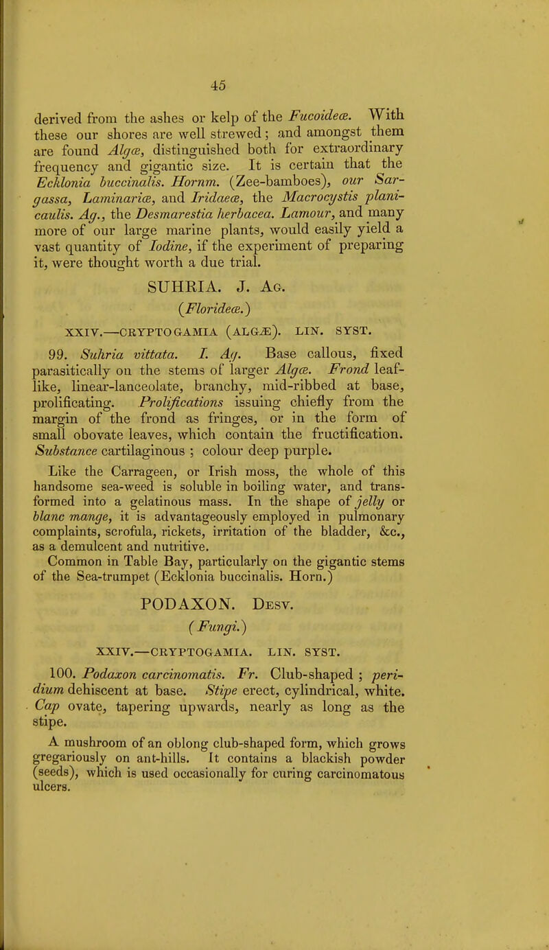 derived from the ashes or kelp of the Fucoidece. With these our shores are well strewed; and amongst them are found Algae, distinguished both for extraordinary- frequency and gigantic size. It is certain that the Ecklonia buccinalis. Hornm. (Zee-bamboes), our Sar- gassa, Laminarice, and IridaecB, the Macrocystis plani- caulis. Ag., the Desmarestia herbacea. Lamour, and many- more of our large marine plants, would easily yield a vast quantity of Iodine, if the experiment of preparing it, were thought worth a due trial. SUHRIA. J. Aa (^Floridece.) XXIV.—CRYPTO GAMIA (ALG^). LIN. SYST. 99. Suhria vittata. 1. Ag. Base callous, fixed parasitically on the stems of larger Algce. Frond leaf- like, linear-lanceolate, branchy, mid-ribbed at base, prolificating. Prolifications issuing chiefly from the margin of the frond as fringes, or in the form of small obovate leaves, which contain the fructification. Substance cartilaginous ; colour deep purple. Like the Carrageen, or Irish moss, the whole of this handsome sea-weed is soluble in boiling water, and trans- formed into a gelatinous mass. In the shape of jellg or blanc mange, it is advantageously employed in pulmonary complaints, scrofula, inckets, irritation of the bladder, &c., as a demulcent and nutritive. Common in Table Bay, particularly on the gigantic stems of the Sea-trumpet (Ecklonia buccinalis. Horn.) PODAXON. Desv. (Fungi.) XXIV.—CRYPTOGAMIA. LIN. SYST. 100. Podaxon carcinomatis. Fr. Club-shaped ; peri~ dium dehiscent at base. Stipe erect, cylindrical, white. Cap ovate, tapering upwards, nearly as long as the stipe. A mushroom of an oblong club-shaped form, which grows gregariously on ant-hills. It contains a blackish powder (seeds), which is used occasionally for curing carcinomatous ulcers.