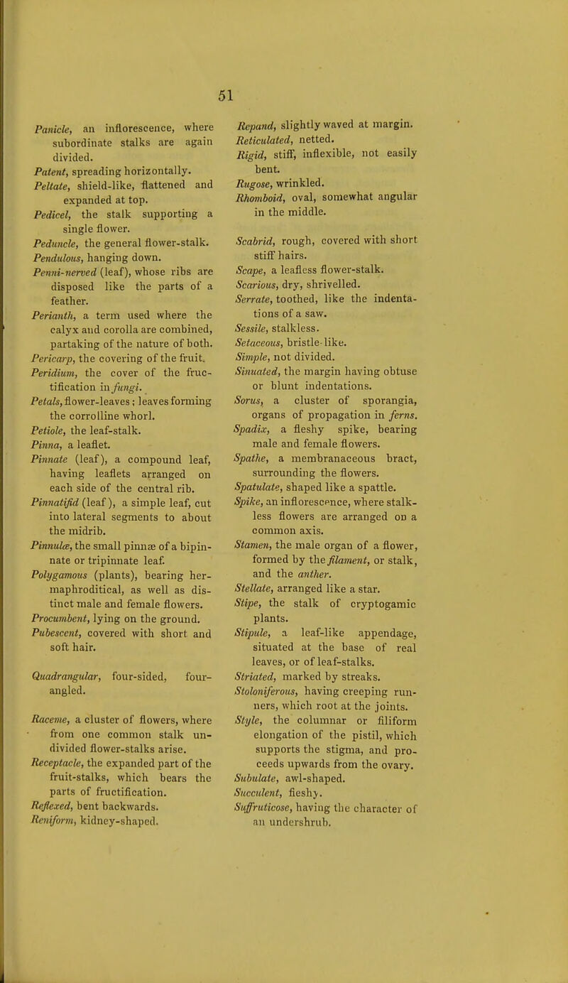 Panicle, an inflorescence, wliere subordinate stalks are again divided. Patent, spreading horizontally. Peltate, shield-like, flattened and expanded at top. Pedicel, the stalk supporting a single flower. Peduncle, the general flower-stalk. Pendulous, hanging down. Penni-nerved (leaf), whose ribs are disposed like the parts of a feather. Perianth, a term used where the calyx and corolla are combined, partaking of the nature of both. Pericarp, the covering of the fruit. Peridium, the cover of the fruc- tification in fungi. Petals, flower-leaves; leaves forming the corrolline whorl. Petiole, the leaf-stalk. Pinna, a leaflet. Pinnate (leaf), a compound leaf, having leaflets arranged on each side of the central rib. Pinnatifid (leaf), a simple leaf, cut into lateral segments to about the midrib. Pinnules, the small pinnas of a bipin- nate or tripinnate leaf. Polygamous (plants), bearing her- maphroditical, as well as dis- tinct male and female flowers. Procumbent, lying on the ground. Pubescent, covered with short and soft hair. Quadrangular, four-sided, four- angled. Raceme, a cluster of flowers, where from one common stalk un- divided flower-stalks arise. Receptacle, the expanded part of the fruit-stalks, which bears the parts of fructification. Reflexed, bent backwards. Reniform, kidney-shaped. Repand, slightly waved at margin. Reticulated, netted. Rigid, stiff, inflexible, not easily bent. Rugose, wrinkled. Rhomboid, oval, somewhat angular in the middle. Scabrid, rough, covered with short stiff hairs. Scape, a leafless flower-stalk. Scarious, dry, shrivelled. Serrate, toothed, like the indenta- tions of a saw. Sessile, stalkless. Setaceous, bristle-like. Simple, not divided. Simiated, the margin having obtuse or blunt indentations. Sorus, a cluster of sporangia, organs of propagation in ferns. Spadix, a fleshy spike, bearing male and female flowers. Spathe, a membranaceous bract, surrounding the flowers. Spatulate, shaped like a spattle. Spike, an inflorescpnce, where stalk- less flowers are arranged on a common axis. Stamen, the male organ of a flower, formed by the fila7nent, or stalk, and the anther. Stellate, arranged like a star. Stipe, the stalk of cryptogamic plants. Stipule, a leaf-like appendage, situated at the base of real leaves, or of leaf-stalks. Striated, marked by streaks. Stoloniferous, having creeping run- ners, which root at the joints. Style, the columnar or filiform elongation of the pistil, which supports the stigma, and pro- ceeds upwards from the ovary. Subulate, awl-shaped. Succulent, fieshj. Suffruticose, having the character of an undershrub.