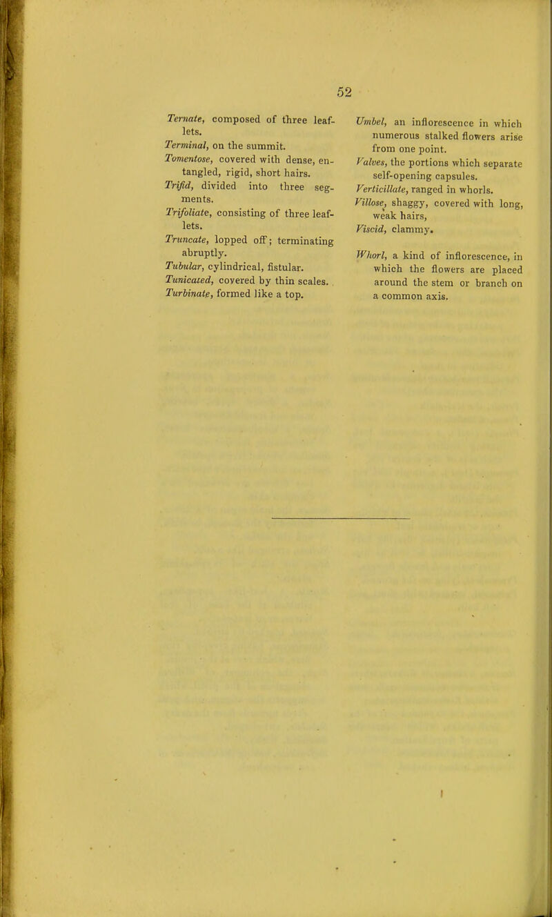 Temate, composed of three leaf- lets. Terminal, on the summit. Tomentose, covered with dense, en- tangled, rigid, short hairs. Trifid, divided into three seg- ments. Trifoliate, consisting of three leaf- lets. Truncate, lopped off; terminating abruptly. Tubular, cylindrical, fistular. Tunicaied, covered by thin scales. Turbinate, formed like a top. Umbel, an inflorescence in which numerous stalked flowers arise from one point. Valves, the portions which separate self-opening capsules. Verticillate, ranged in whorls. Fillose^, shaggy, covered with long, weak hairs, Viscid, clammy. Whorl, a kind of inflorescence, in which the flowers are placed around the stem or branch on a common axis. I