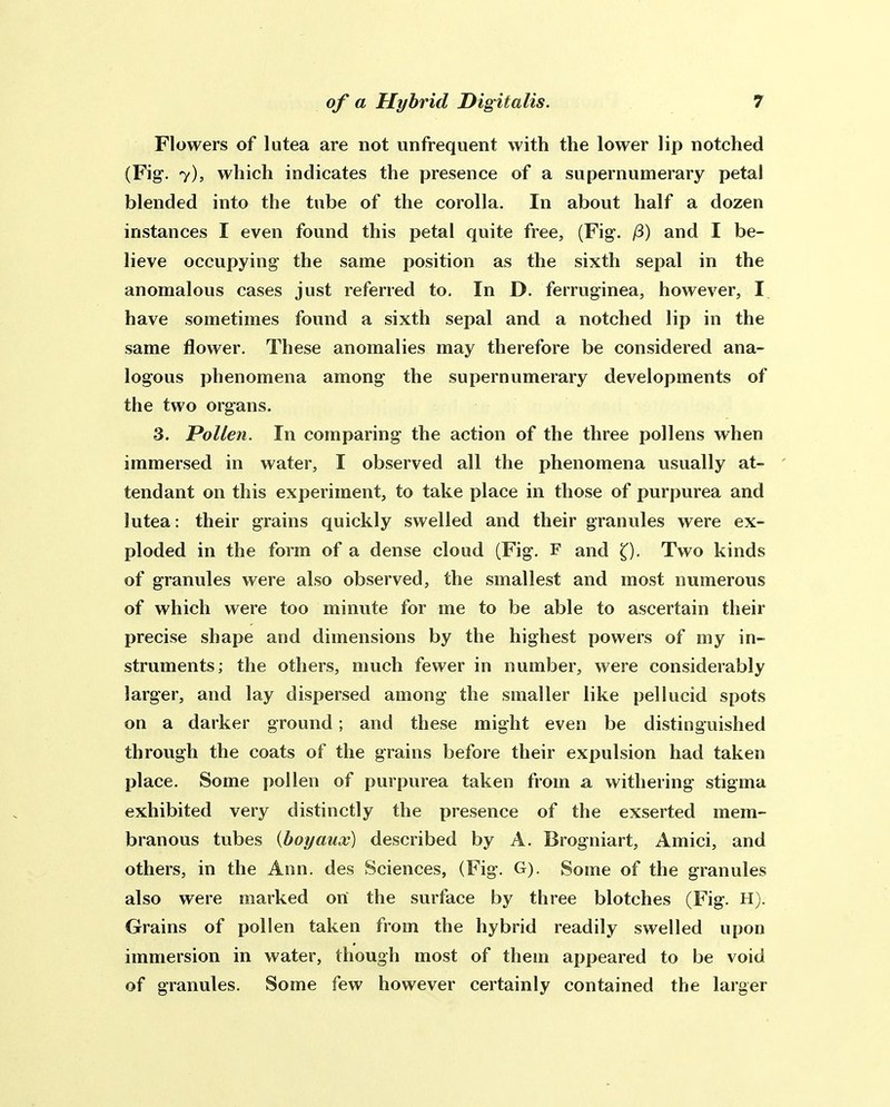 Flowers of lutea are not unfrequent with the lower lip notched (Fig. 7), which indicates the presence of a supernumerary petal blended into the tube of the corolla. In about half a dozen instances I even found this petal quite free, (Fig. /3) and I be- lieve occupying the same position as the sixth sepal in the anomalous cases just referred to. In D. ferruginea, however, I have sometimes found a sixth sepal and a notched lip in the same flower. These anomalies may therefore be considered ana- logous phenomena among the supernumerary developments of the two organs. 3. JPollen. In comparing the action of the three pollens when immersed in water, I observed all the phenomena usually at- ' tendant on this experiment, to take place in those of purpurea and lutea: their grains quickly swelled and their granules were ex- ploded in the form of a dense cloud (Fig. F and Two kinds of granules were also observed, the smallest and most numerous of which were too minute for me to be able to ascertain their precise shape and dimensions by the highest powers of my in- struments; the others, much fewer in number, were considerably larger, and lay dispersed among the smaller like pel 1 ucid spots on a darker ground ; and these might even be distinguished through the coats of the grains before their expulsion had taken place. Some pollen of purpurea taken from a withering stigma exhibited very distinctly the presence of the exserted mem- branous tubes {boyaux) described by A. Brogniart, Amici, and others, in the Ann. des Sciences, (Fig. G). Some of the granules also were marked on the surface by three blotches (Fig. H). Grains of pollen taken from the hybrid readily swelled upon immersion in water, though most of them appeared to be void of granules. Some few however certainly contained the larger