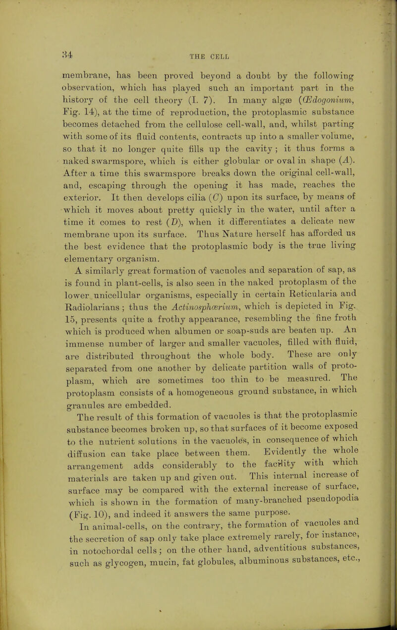 84 membrane, has been proved beyond a doubt by the following observation, which has played such an important part in the history of the cell theory (I. 7). In many algae (CEdogonium, Fig. 14), at the time of reproduction, the protoplasmic substance becomes detached from the cellulose cell-wall, and, whilst parting with some of its fluid contents, contracts up into a smaller volume, so that it no longer quite fills up the cavity ; it thus forms a naked swarmspore, which is either globular or oval in shape (A). After a time this swarmspore breaks down the original cell-wall, and, escaping through the opening it has made, reaches the exterior. It then develops cilia (G) upon its surface, by means of which it moves about pretty quickly in the water, until after a time it comes to rest (D), when it differentiates a delicate new membrane upon its surface. Thus Nature herself has afforded us the best evidence that the protoplasmic body is the true living elementary organism. A similarly great formation of vacuoles and separation of sap, as is found in plant-cells, is also seen in the naked protoplasm of the lower unicellular organisms, especially in certain Reticularia and Radiolarians ; thus the Actinosphcerium, which is depicted in Fig. 15, presents quite a frothy appearance, resembling the fine froth which is produced when albumen or soap-suds are beaten up. An immense number of larger and smaller vacuoles, filled with fluid, are distributed throughout the whole body. These are only separated from one another by delicate partition walls of proto- plasm, which are sometimes too thin to be measured. The protoplasm consists of a homogeneous ground substance, in which granules are embedded. The result of this formation of vacuoles is that the protoplasmic substance becomes broken up, so that surfaces of it become exposed to the nutrient solutions in the vacuoles, in consequence of which diffusion can take place between them. Evidently the whole arrangement adds considerably to the facility with which materials are taken up and given out. This internal increase of surface may be compared with the external increase of surface, which is shown in the formation of many-branched pseudopodia (Fig. 10), and indeed it answers the same purpose. In animal-cells, on the contrary, the formation of vacuoles and the secretion of sap only take place extremely rarely, for instance, in notochordal cells; on the other hand, adventitious substances, such as glycogen, mucin, fat globules, albuminous substances, etc.,