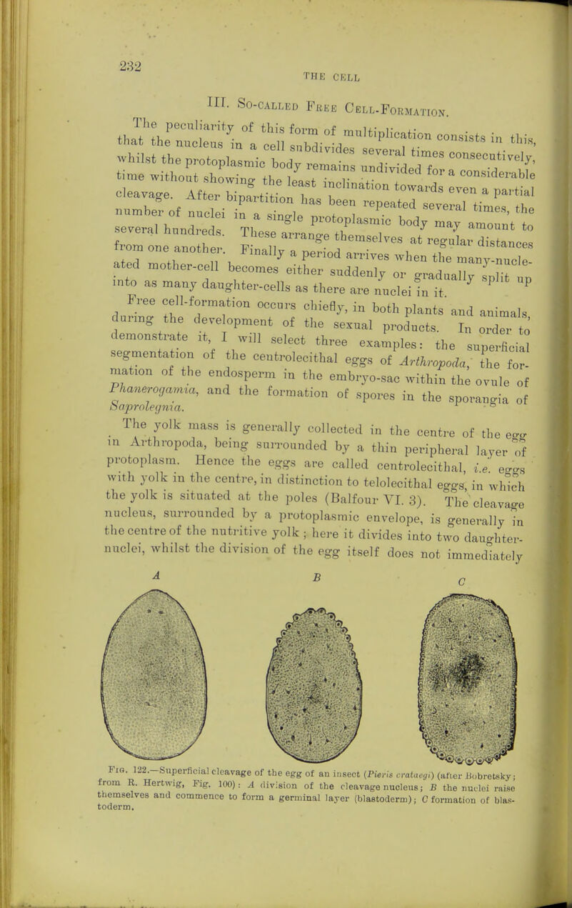 THE CELL Hr. So-called Frke Cell.Formation. The peculiarity of this form of multiplication consists in fchi that the nucleus in a rpll BnW;, -j , . UUUhlscs m tlnS &uuwmg the least inclination towards Pvpn * „n . cleavage. After bipartition lias been repeate? eJe a time i number of nuclei in a single protoplasmic body Z^ amount 5 several hundreds. These arrant fL i 7 7 amount to ineseanange themselves at regular distant from one another. Finallv a mrinA ™ • i , aistances a**A .i, » \ naiv a period arrives when the many-nucle- ated mother-cell becomes either suddenly or graduallv LTi into as many daughter-cells as there are nuclei fcft' ? P Free cell-formation occurs chiefly, in both plants and animals during the development of the sexual products. In order to demonstrate it, I will select three examples: the uperfioial segmentation of the centrolecithal eggs oiArtkropoää The for- mation of the endosperm in the embryo-sac within the ovule of Phaneroganua, and the formation of spores in the sporangia of baprolegnia. 6 The yolk mass is generally collected in the centre of the egg in Arthropoda, being surrounded by a thin peripheral layer of protoplasm. Hence the eggs are called centrolecithal ie eggs with yolk in the centre, in distinction to telolecithal eggs in which the yolk is situated at the poles (Balfour VI. 3). The cleavage nucleus, surrounded by a protoplasmic envelope, is generally in the centre of the nutritive yolk , here it divides into two dauo-hter- nuclei, whilst the division of the egg itself does not immediately A B n Fig. l-2.-Superficial cleavage of the egg of an insect (Pirns cvataegi) (after Uobretsky; from R. Hertwig, Fig. 100): A division of the cleavage nucleus; B the nuclei raise themselves and commence to form a germinal layer (blastoderm); C formation of bias- toderm.