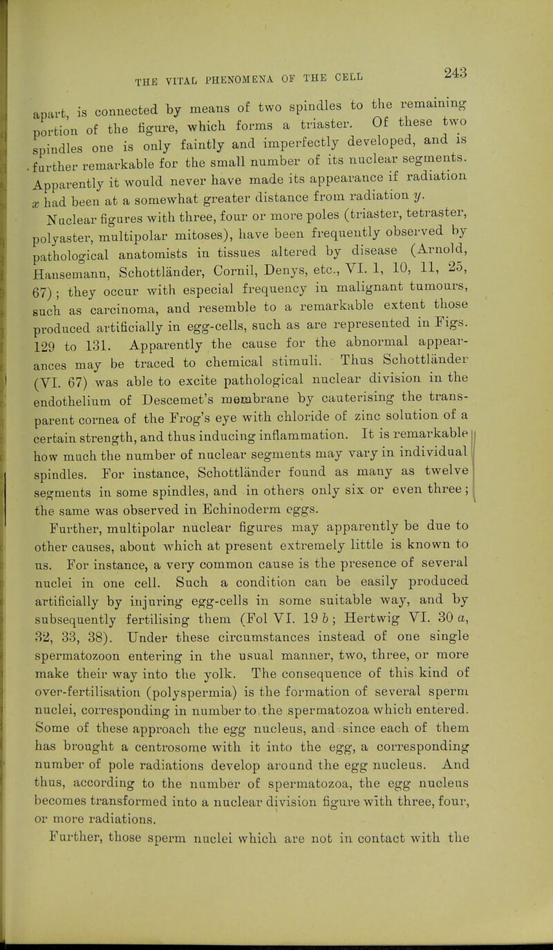 apart is connected by means of two spindles to the remaining portion of the figure, which forms a (master. Of these two spindles one is only faintly and imperfectly developed, and is .further remarkable for the small number of its nuclear segments. Apparently it would never have made its appearance if radiation x had been at a somewhat greater distance from radiation y. J Nuclear figures with three, four or more poles (triaster, tetraster, polyaster, multipolar mitoses), have been frequently observed by pathological anatomists in tissues altered by disease (Arnold, Hansemann, Schottländer, Cornil, Denys, etc., VI. 1, 10, 11, 25, 67) ; they occur with especial frequency in malignant tumours, such as carcinoma, and resemble to a remarkable extent those produced artificially in egg-cells, such as are represented in Figs. 129 to 131. Apparently the cause for the abnormal appear- ances may be traced to chemical stimuli. Thus Schottländer (VI. 67) was able to excite pathological nuclear division in the endothelium of Descemet's membrane by cauterising the trans- parent cornea of the Frog's eye with chloride of zinc solution of a certain strength, and thus inducing inflammation. It is remarkable how much the number of nuclear segments may vary in individual spindles. For instance, Schottländer found as many as twelve segments in some spindles, and in others only six or even three; the same was observed in Echinoderm eggs. Further, multipolar nuclear figures may apparently be due to other causes, about which at present extremely little is known to us. For instance, a very common cause is the presence of several nuclei in one cell. Such a condition can be easily produced artificially by injuring egg-cells in some suitable way, and by subsequently fertilising them (Fol VI. 19 b; Hertwig VI. 30 a, 32, 33, 38). Under these circumstances instead of one single spermatozoon entering in the usual manner, two, three, or more make their way into the yolk. The consequence of this kind of over-fertilisation (polyspermia) is the formation of several sperm nuclei, corresponding in number to the spermatozoa which entered. Some of these approach the egg nucleus, and since each of them has brought a centrosome with it into the egg, a corresponding number of pole radiations develop around the egg nucleus. And thus, according to the number of spermatozoa, the egg nucleus becomes transformed into a nuclear division figure with three, four, or more radiations. Further, those sperm nuclei which are not in contact with the