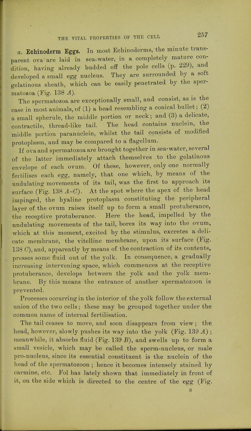 a. Echinoderm Eggs. Ia most Echinoderms, the minute trans- parent ova are laid in sea-water, in a completely mature con- dition, having already budded off the pole cells (p. 229), and developed a small egg nucleus. They are surrounded by a soft gelatinous sheath, which can be easily penetrated by the sper- matozoa (Fig. 138 A). The spermatozoa are exceptionally small, and consist, as is the case in most animals, of (1) a head resembling a conical bullet ; (2) a small spherule, the middle portion or neck; and (3) a delicate, contractile, thread-like tail. The head contains nuclein, the middle portion paranuclei, whilst the tail consists of modified protoplasm, and may be compared to a flagellum. If ova and spermatozoa are brought together in sea-water, several of the latter immediately attach themselves to the gelatinous envelope of each ovum. Of these, however, only one normally fertilises each egg, namely, that one which, by means of the undulating movements of its tail, was the first to approach its surface (Fig. 138 Ä-G). At the spot where the apex of the head impinged, the hyaline protoplasm constituting the peripheral layer of the ovum raises itself up to form a small protuberance, the receptive protuberance. Here the head, impelled by the undulating movements of the tail, bores its way into the ovum, which at tliis moment, excited by the stimulus, excretes a deli- cate membrane, the vitelline membrane, upon its surface (Fig. 138 C), and, apparently by means of the contraction of its contents, presses some fluid out of the yolk. In consequence, a gradually increasing intervening space, which commences at the receptive protuberance, develops between the yolk and the yolk mem- brane. By this means the entrance of another spermatozoon is pi^e vented. Processes occurring in the interior of the yolk follow the external union of the two cells; these may be grouped together under the common name of internal fertilisation. The tail ceases to move, and soon disappears from view; the head, however, slowly pushes its way into the yolk (Fig. 139 A) ; meanwhile, it absorbs fluid (Fig. 139 B), and swells up to form a small vesicle, which may be called the sperm-nucleus, or male pro-nucleus, since its essential constituent is the nuclein of the head of the spei'matozoon ; hence it becomes intensely stained by carmine, etc. Fol has lately shown that immediately in front of it, on the side which is directed to the centre of the egg (Fig.
