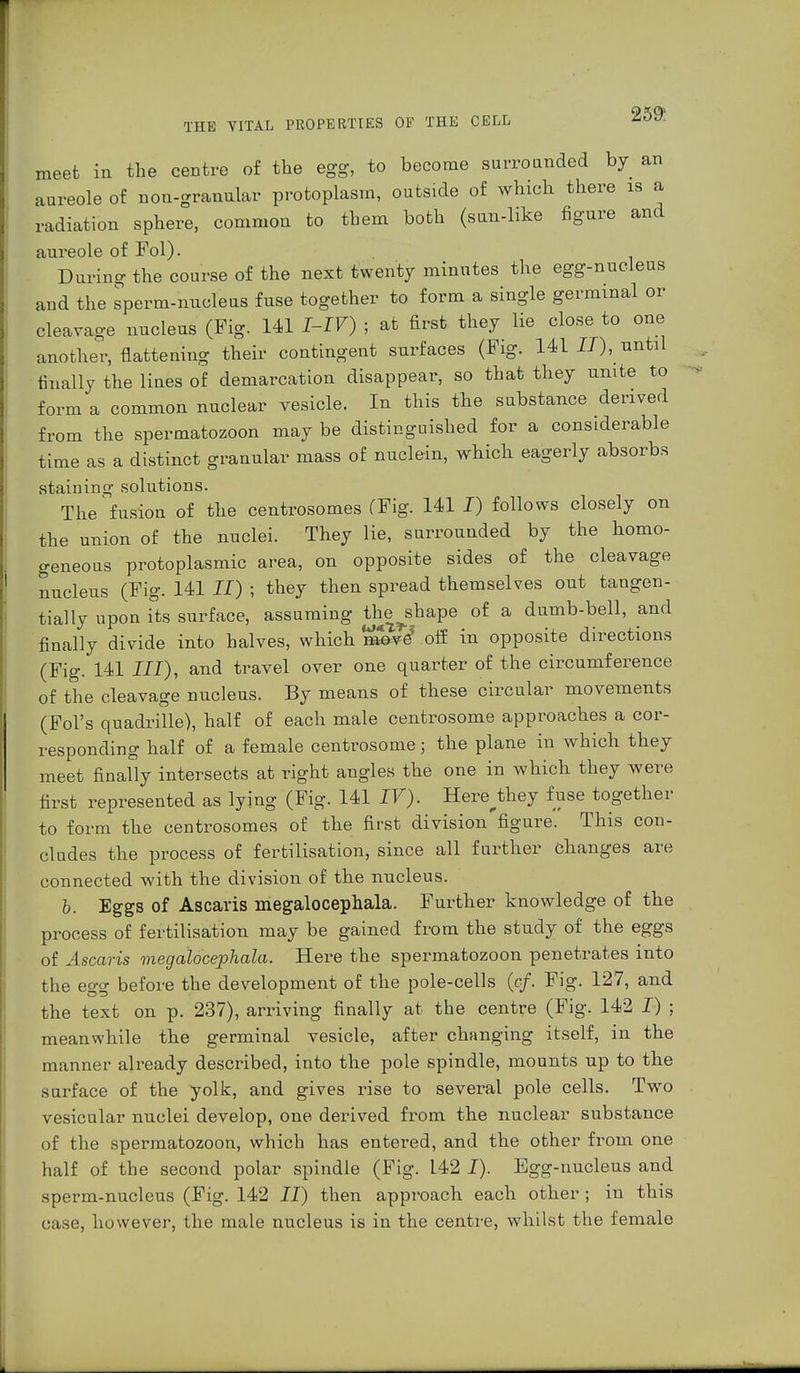 meet in the centre of the egg, to become surrounded by an aureole of non-granular protoplasm, outside of which there is a radiation sphere, common to them both (sun-like figure and aureole of Fol). During the course of the next twenty minutes the egg-nucleus and the sperm-nucleus fuse together to form a single germinal or cleavage nucleus (Fig. 141 I-IV) ; at first they lie close to one another, flattening their contingent surfaces (Fig. 141 17), until finally the lines of demarcation disappear, so that they unite to form a common nuclear vesicle. In this the substance derived from the spermatozoon may be distinguished for a considerable time as a distinct granular mass of nuclein, which eagerly absorbs staining solutions. The fusion of the centrosomes (Fig. 141 I) follows closely on the union of the nuclei. They lie, surrounded by the homo- geneous protoplasmic area, on opposite sides of the cleavage nucleus (Fig. 141 II) ; they then spread themselves out tangen- tially upon its surface, assuming the^shape of a dumb-bell, and finally divide into halves, which move*.off in opposite directions (Fig. 141 III), and travel over one quarter of the circumference of the cleavage nucleus. By means of these circular movements ('Pol's quadrille), half of each male centrosome approaches a cor- responding half of a female centrosome; the plane in which they meet finally intersects at right angles the one in which they were first represented as lying (Fig. 141 IV). Here^they fuse together to form the centrosomes of the first division figure. This con- cludes the process of fertilisation, since all further changes are connected with the division of the nucleus. b. Eggs of Ascavis megalocephala. Further knowledge of the process of fertilisation may be gained from the study of the eggs of Ascavis megalocephala. Here the spermatozoon penetrates into the egg before the development of the pole-cells (of Fig. 127, and the text on p. 237), arriving finally at the centre (Fig. 142 I) ; meanwhile the germinal vesicle, after changing itself, in the manner already described, into the pole spindle, mounts up to the surface of the yolk, and gives rise to several pole cells. Two vesicular nuclei develop, one derived from the nuclear substance of the spermatozoon, which has entered, and the other from one half of the second polar spindle (Fig. 142 I). Egg-nucleus and sperm-nucleus (Pig. 142 II) then approach each other ; in this case, however, the male nucleus is in the centre, whilst the female