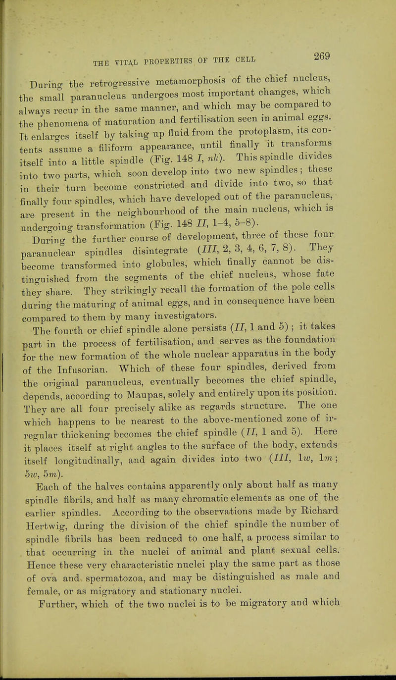 Darin* the retrogressive metamorphosis of the chief nucleus the small paranucleus undergoes most important changes, which always recur in the same manner, and which may be compared to the phenomena of maturation and fertilisation seen in animal eggs. It enlarges itself by taking up fluid from the protoplasm, its con- tents assume a filiform appearance, until finally it transforms itself into a little spindle (Fig. 148 I, nk). This spindle divides into two parts, which soon develop into two new spindles; these in their turn become constricted and divide into two, so that finally four spindles, which have developed out of the paranucleus, are present in the neighbourhood of the main nucleus, which is undergoing transformation (Fig. 148 II, 1-4, 5-8). During the further course of development, three of these four paranuclear spindles disintegrate (III, 2, 3, 4, 6, 7, 8). They become transformed into globules, which finally cannot be dis- tinguished from the segments of the chief nucleus, whose fate they share. They strikingly recall the formation of the pole cells during the maturing of animal eggs, and in consequence have been compared to them by many investigators. The fourth or chief spindle alone persists (II, 1 and 5) ; it takes part in the process of fertilisation, and serves as the foundation for the new formation of the whole nuclear apparatus in the body of the Infusorian. Which of these four spindles, derived from the original paranucleus, eventually becomes the chief spindle, depends, according to Maupas, solely and entirely upon its position. They are all four precisely alike as regards structure. The one which happens to be nearest to the above-mentioned zone of ir- regular thickening becomes the chief spindle (II, 1 and 5). Here it places itself at right angles to the surface of the body, extends itself longitudinally, and again divides into two (III, Iw, Im j 5w, 5m). Each of the halves contains apparently only about half as many spindle fibrils, and half as many chromatic elements as one of the earlier spindles. According to the observations made by Richard Hertwig, during the division of the chief spindle the number of spindle fibrils has been reduced to one half, a process similar to that occurring in the nuclei of animal and plant sexual cells. Hence these very characteristic nuclei play the same part as those of ova and spermatozoa, and may be distinguished as male and female, or as migratory and stationary nuclei. Further, which of the two nuclei is to be migratory and which