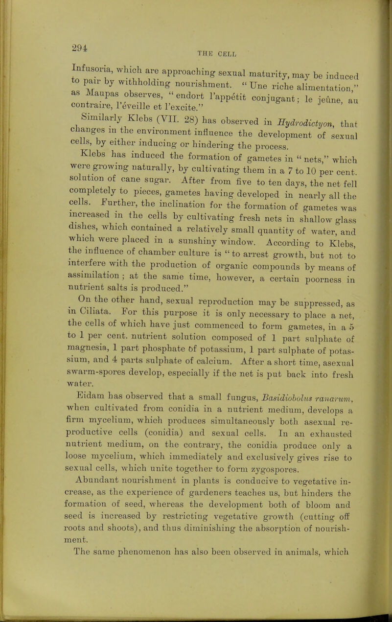 Infusona, winch are approaching sexual maturity, may be induced to pan- by withholding nourishment. « TJne riche alimentation, as Maupas observes, « endort l'appetit conjugant; le jeüne, au contraire, l'eveille et l'excite. Similarly Klebs (VII. 28) has observed in Eydrodictyon, that changes m the environment influence the development of sexual cells, by either inducing or hindering the process. Klebs has induced the formation of gametes in « nets, which were growing naturally, by cultivating them in a 7 to 10 per cent solution of cane sugar. After from five to ten days, the net fell completely to pieces, gametes having developed in nearly all the cells. .Further, the inclination for the formation of gametes was increased in the cells by cultivating fresh nets in shallow glass dishes, which contained a relatively small quantity of water, and which were placed in a sunshiny window. According to Klebs, the influence of chamber culture is  to arrest growth, but not to' interfere with the production of organic compounds by means of assimilation ; at the same time, however, a certain poorness in nutrient salts is produced. On the other hand, sexual reproduction may be suppressed, as in Ciliata. For this purpose it is only necessary to place a net, the cells of which have just commenced to form gametes, in a 5 to 1 per cent, nutrient solution composed of 1 part sulphate of magnesia, 1 part phosphate of potassium, 1 part sulphate of potas- sium, and 4 parts sulphate of calcium. After a short time, asexual swarm-spores develop, especially if the net is put back into fresh water. Eidam has observed that a small fungus, Basidioholns ranarum, when cultivated from conidia in a nutrient medium, develops a firm mycelium, which produces simultaneously both asexual re- productive cells (conidia) and sexual cells. In an exhausted nutrient medium, on the contrary, the conidia produce only a loose mycelium, which immediately and exclusively gives rise to sexual cells, which unite together to form zygospores. Abundant nourishment in plants is conducive to vegetative in- crease, as the experience of gardeners teaches us, but hinders the formation of seed, whereas the development both of bloom and seed is increased by restricting vegetative growth (cutting off roots and shoots), and thus diminishing the absorption of nourish- ment. The same phenomenon has also been observed in animals, which