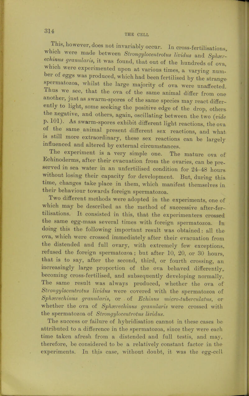 THE CKLL Thus, however, does not invariably occur. In cross-fertilisations which were made between Strongyloceutrotus lividus and Sphter- ec/anus granulans, it was found, that out of the hundreds of ova which were experimented upon at various times, a varying num- ber of eggs was produced, which had been fertilised by the strange- spermatozoa, whilst the large majority of ova were unaffected Ihus we see, that the ova of the same animal differ from one another, just as swarm-spores of the same species may react differ- ently to light, some seeking the positive edge of the drop, others the negative, and others, again, oscillating between the two (vide p. 101). As swarm-spores exhibit different light reactions, the ova of the same animal present different sex reactions, and what is still more extraordinary, these sex reactions can be largely influenced and altered by external circumstances. The experiment is a very simple one. The mature ova of Echinoderms, after their evacuation from the ovaries, can be pre- served in sea water in an unfertilised condition for 24-48 hours without losing their capacity for development. But, during this time, changes take place in them, which manifest themselves in their behaviour towards foreign spermatozoa. Two different methods were adopted in the experiments, one of which may be described as the method of successive after-fer- tihsations. It consisted in this, that the experimenters crossed the same egg-mass several times with foreign spermatozoa. In doing this the following important result was obtained: all the ova, which were crossed immediately after their evacuation from the distended and full ovary, with extremely few exceptions, refused the foreign spermatozoa ; but after 10, 20, or 30 hours, that is to say, after the second, third, or fourth crossing, an increasingly large proportion of the ova behaved differently,, becoming cross-fertilised, and subsequently developing normally. The same result was always produced, whether the ova of Strongyloceutrotus lividus were covered with the spermatozoa of Sphterechinus granularis, or of Echinus micro-tuberculatus, or whether the ova of Sphterechinus granularis were crossed with the spermatozoa of Strongyloceutrotus lividus. The success or failure of hybridisation cannot in these cases be attributed to a difference in the spermatozoa, since they were each time taken afresh from a distended and full testis, and may, therefore, be considered to be a relatively constant factor in the experiments. In this case, without doubt, it was the egg-cell