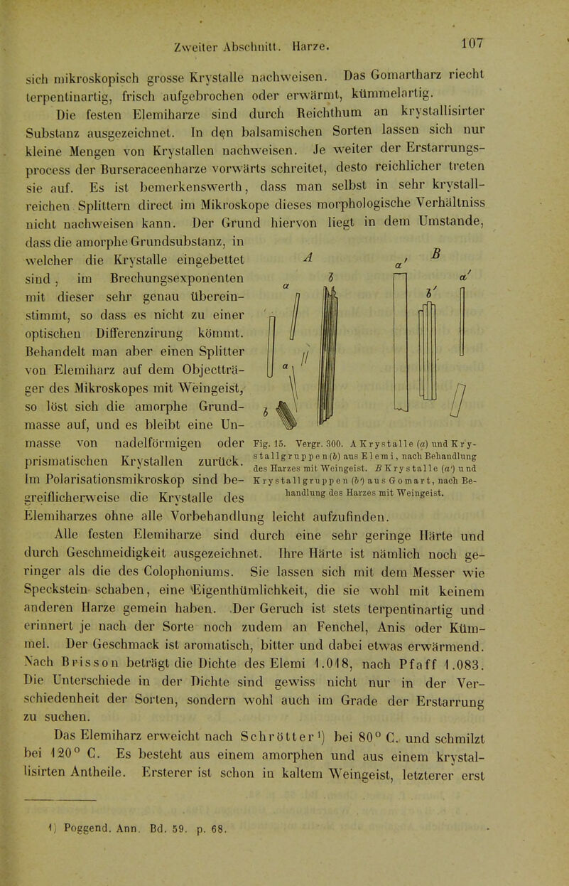 sich mikroskopisch grosse Krystalle nachweisen. Das Goniartharz riecht lerpentinartig, frisch aufgebrochen oder erwärmt, kümraelartig. Die festen Elemiharze sind durch Reichthum an krystallisirter Substanz ausgezeichnet. In d^n balsamischen Sorten lassen sich nur kleine Mengen von Krystallen nachweisen. Je weiter der Erstarrungs- process der Burseraceenharze vorwärts schreitet, desto reichlicher ti-eten sie auf. Es ist bemerkenswerth, dass man selbst in sehr krystall- reichen SpUttern direct im Mikroskope dieses morphologische Verhältniss nicht nachweisen kann. Der Grund hiervon liegt in dem Umstände, dass die amorphe Grundsubstanz, in welcher die Krystalle eingebettet sind, im Brechungsexponenten mit dieser sehr genau überein- stimmt, so dass es nicht zu einer optischen Differenzirung kömmt. Behandelt man aber einen Splitter von Elemiharz auf dem Objectträ- ger des Mikroskopes mit Weingeist, so löst sich die amorphe Grund- masse auf, und es bleibt eine Un- masse von nadelförniigen oder prismatischen Krystallen zurück. B a Fig. 15. Vergr. 300. A Krystalle («) und K r y- stallgrtippen(&) aus E1 e m i, nach Behandlung des Harzes mit Weingeist. jB Kry s talle (a') u nd Im Polarisationsmikroskop sind be- KrystallgrUppen {h'] aus Görnart, nach Be- ereiflicherweise die KrVStalle des handlung des Harzes mit Weingeist. Elemiharzes ohne alle Vorbehandlung leicht aufzufinden. Alle festen Elemiharze sind durch eine sehr geringe Härte und durch Geschmeidigkeit ausgezeichnet. Ihre Härte ist nämlich noch ge- ringer als die des Colophoniums. Sie lassen sich mit dem Messer wie Speckstein schaben, eine »Eigenthümlichkeit, die sie wohl mit keinem anderen Harze gemein haben. .Der Geruch ist stets terpentinartig und erinnert je nach der Sorte noch zudem an Fenchel, Anis oder Küm- mel. Der Geschmack ist aromatisch, bitter und dabei etwas erwärmend. Nach Brisson beträgt die Dichte des Elemi 1.018, nach Pfaff 1.083. Die Unterschiede in der Dichte sind gewiss nicht nur in der Ver- schiedenheit der Sorten, sondern wohl auch im Grade der Erstarrung zu suchen. Das Elemiharz erweicht nach Schrötter bei 80° C. und schmilzt bei 120° C. Es besteht aus einem amorphen und aus einem krystal- lisirten Antheile. Ersterer ist schon in kaltem Weingeist, letzterer erst 1) Poggend. Ann. Bd. 59. p. 68.