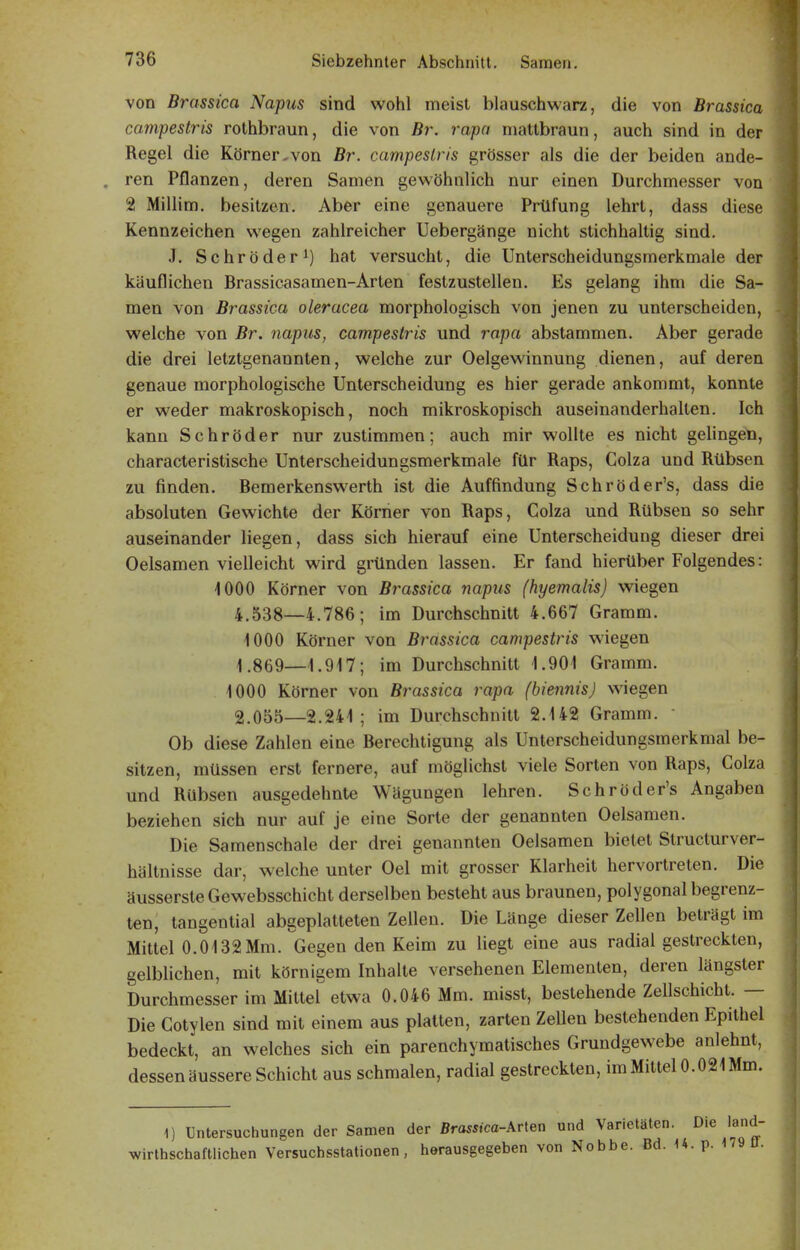 von Brassica Napus sind wohl meist blauschwarz, die von Brassica campestris rothbraun, die von Br. rapn mattbraun, auch sind in der Regel die Körner,von Br. campestris grösser als die der beiden ande- ren Pflanzen, deren Samen gewöhnlich nur einen Durchmesser von 21 Millim. besitzen. Aber eine genauere Prüfung lehrt, dass diese Kennzeichen wegen zahlreicher Uebergänge nicht stichhaltig sind, J. Schröder 1) hat versucht, die Unterscheidungsmerkmale der käuflichen Brassicasamen-Arten festzustellen. Es gelang ihm die Sa- men von Brassica oleracea morphologisch von jenen zu unterscheiden, welche von Br. napus, campestris und rapa abstammen. Aber gerade die drei letztgenannten, welche zur Oelgewinnung dienen, auf deren genaue morphologische Unterscheidung es hier gerade ankommt, konnte er weder makroskopisch, noch mikroskopisch auseinanderhalten. Ich kann Schröder nur zustimmen; auch mir wollte es nicht gelingen, characteristische Unterscheidungsmerkmale für Raps, Colza und Rübsen zu finden. Bemerkenswerth ist die Auffindung Schröder's, dass die absoluten Gewichte der Körner von Raps, Colza und Rübsen so sehr auseinander liegen, dass sich hierauf eine Unterscheidung dieser drei Oelsamen vielleicht wird gründen lassen. Er fand hierüber Folgendes: iOOO Körner von Brassica napus (hyemalis) wiegen 4.538—4.786; im Durchschnitt 4.667 Gramm. 1000 Körner von Br-assica campestris wiegen 4.869—1.917; im Durchschnitt 1.901 Gramm. 1000 Körner von Brassica rapa (biennis) wiegen 2.055—2.241; im Durchschnitt 2.142 Gramm. • Ob diese Zahlen eine Berechtigung als Unterscheidungsmerkmal be- sitzen, müssen erst fernere, auf möglichst viele Sorten von Raps, Colza und Rübsen ausgedehnte Wägungen lehren. Schröder's Angaben beziehen sich nur auf je eine Sorte der genannten Oelsamen. Die Samenschale der drei genannten Oelsamen bietet Structurver- hältnisse dar, welche unter Oel mit grosser Klarheit hervortreten. Die äussersteGewebsschicht derselben besteht aus braunen, polygonal begrenz- ten, tangential abgeplatteten Zellen. Die Länge dieser Zellen beträgt im Mittel 0.0132 Mm. Gegen den Keim zu liegt eine aus radial gestreckten, gelblichen, mit körnigem Inhalte versehenen Elementen, deren längster Durchmesser im Mittel etwa 0.046 Mm. misst, bestehende Zellschicht. — Die Cotylen sind mit einem aus platten, zarten Zellen bestehenden Epithel bedeckt, an welches sich ein parenchymatisches Grundgewebe anlehnt, dessen äussere Schicht aus schmalen, radial gestreckten, im Mittel 0.021 Mm. 1) Untersuchungen der Samen der ßrass.ca-Arten und Varietäten. Die land- wirthschaftlichen Versuchsstationen, herausgegeben von Nobbe. Bd. U. p. 179 0.