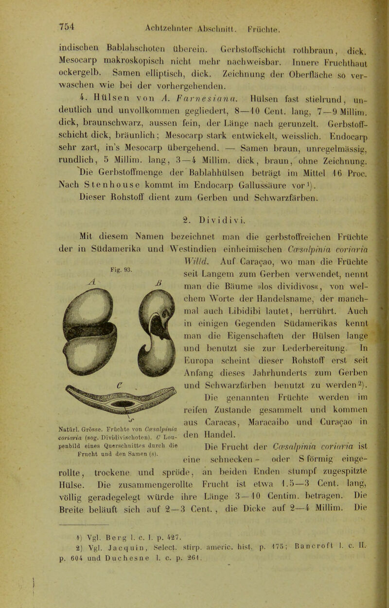 indischen Babliihsciioten UbcM-ein. Gurbslollschichl rothbraun, dick. Mesocarp makroskopisch nicht inehi- nachweisbar. Innere Fruchthaut ockergelb. Samen elliptisch, dick. Zeichnung der Oberflüche so ver- waschen wie bei der vorhergehenden. 4. Hülsen von A. Farnesiann. Hülsen fast stielrund, un- deutlich und unvollkommen gegliedert, 8—10 Cent, lang, 7—9 Millim. dick, braunsch^varz, aussen fein, der Länge nach gerunzelt. Gerbstoff- schicht dick, bräunlich; Mesocarp stark entwickelt, weisslich. Endocarp sehr zart, in's Mesocarp übergehend. — Samen braun, unregelmässig, rundlich, 5 Millim. lang, 3—4 Millim. dick, braun, ohne Zeichnung. Die Gerbstoffmenge der Bablahhülsen beträgt im Mittel 16 Proc. Nach Stenhouse kommt im Endocarp Gallussäure vor^). Dieser Rohstoff dient zum Gerben und Schwarzfärben. Fig. 93. 2. Dividivi. Mit diesem Namen bezeichnet man die gerbstoffreiehen Früchte der in Südamerika und Westindieu einheimischen Cwsalpinia corinria Willd. Auf Caracao, wo man die Früchte seit Langem zum Gerben verwendet, nennt man die Bäume »los dividivos«, von wel- chem Worte der Handelsname, der manch- mal auch Libidibi lautet, herrührt. Auch in einigen Gegenden Südamerikas kennt man die Eigenschaften der Hülsen lange und benutzt sie zur Lederl)ereitung. In Europa scheint dieser Rohstoff erst seit Anfang dieses Jahrhunderts zum Gerben und Sehwarzfärben l)enutzt zu werden 2). Die genannten Früchte werden im reifen Zustande gesammelt und kommen aus Caracas, Maracaibo und Curacao in den Handel. Die Frucht der CrvsnJpinin corinria ist eine Schnecken - oder S förmig einge- und spröde, an beiden Enden stumpf zugespitzte Htllse. Die zusanmiengerollte Frucht ist etwa 1.5—3 Cent, lang, völlig geradegelegt würde ihre Länge 3—10 Gentim. betragen. Die Breite beläuft sich auf 2 — 3 Cent. , die Dicke auf 2—4 Millim. Die Natürl. Grösse. Früchte von Cirsalpinin coriaria (sog. DiviAivischoteu). C Lou- penbild eines Quersclinitt<'.s durch die Frncht und den Samen (s). rollte, trockene ^) Vgl. Berg I. c. I. p. 427. 2) Vgl. Jacquin, Select. stirp. 604 und Duchesne 1. c. p. 261. amonc. hist. p. n;;; I^ancroft I. c. II.