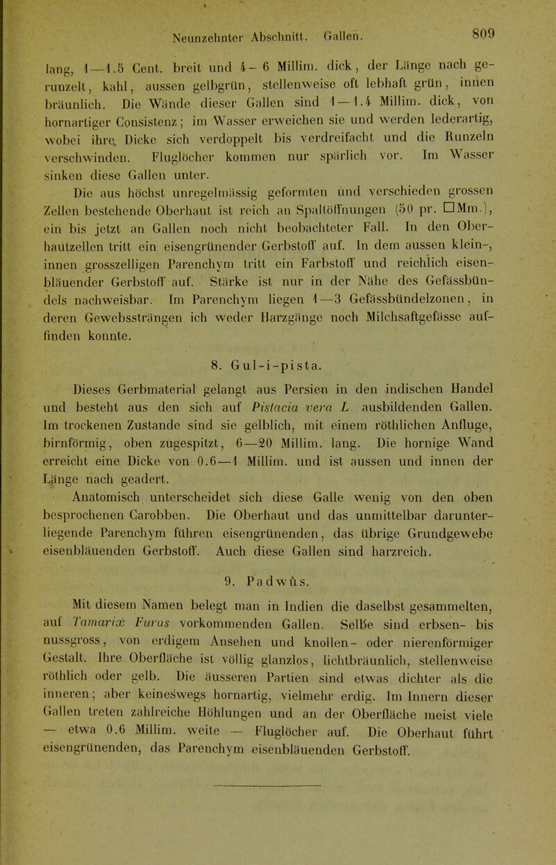 lang, 1—1.b Gent, breit und 4-6 Millini. dick, der Länge nach ge- runzelt, kahl, aussen gelbgrün, stellenweise oft lebhaft grün, iniien bräunlich. Die Wände dieser Gallen sind 1 — 1.4 Millim. dick, von hornartiger Consistenz; im Wasser erweichen sie und werden lederartig, wobei ihr^ Dicke sich verdoppelt bis verdreifacht und die Runzeln verschwinden. Fluglöcher kommen nur spärlich vor. Im Wasser sinken diese Gallen unter. Die aus höchst unregelinässig geformten und verschieden grossen Zellen bestehende Oberhaut ist reich an Spallötfnungen (50 pr. DMm.), ein bis jetzt an Gallen noch nicht beobachteter Fall. In den Ober- hautzellen tritt ein eisengrünender Gerbstoff auf. In dem aussen klein-, innen grosszelligen Parenchym tritt ein Farbstoff und reichlich eisen- bläuender Gerbstoff auf. Stärke ist nur in der Nähe des Gefässbün- dels nachweisbar. Im Parenchym liegen 1—3 Gefässbündelzonen, in deren Gewebssträngen ich weder Harzgänge noch Milchsaftgefässe auf- finden konnte. 8. Gul-i-pista. Dieses Gerbmaterial gelangt aus Persien in den indischen Handel und besteht aus den sich auf Pistacia vera L ausbildenden Gallen. Im trockenen Zustande sind sie gelblich, mit einem röthlichen Anfluge, birnförmig, oben zugespitzt, 6—20 Millim. lang. Die hornige Wand erreicht eine Dicke von 0.6—1 Millim. und ist aussen und innen der Länge nach geädert. Anatomisch unterscheidet sich diese Galle wenig von den oben besprochenen Carobben. Die Oberhaut und das unmittelbar darunter- liegende Parenchym führen eisengrünenden, das übrige Grundgewebe eisenbläuenden Gerbstoff. Auch diese Gallen sind harzreich. 9. Padwils, Mit diesem Namen belegt man in Indien die daselbst gesammelten, auf Tamarix Furas vorkommenden Gallen. Selbe sind erbsen- bis nussgross, von erdigem Ansehen und knollen- oder uierenförmiger Gestalt. Ihre Oberfläche ist völlig glanzlos, lichtbräuulich, stellenweise röthlich oder gelb. Die äusseren Partien sind etwas dichter als die inneren; aber keineswegs hornartig, vielmehr erdig. Im Innern dieser Gallen treten zahlreiche Höhlungen und an der Oberfläche meist viele — etwa 0.6 Millim. weite — Fluglöcher auf. Die Oberhaut führt eisengrünenden, das Parenchym eisenbläuenden Gerbstoff.