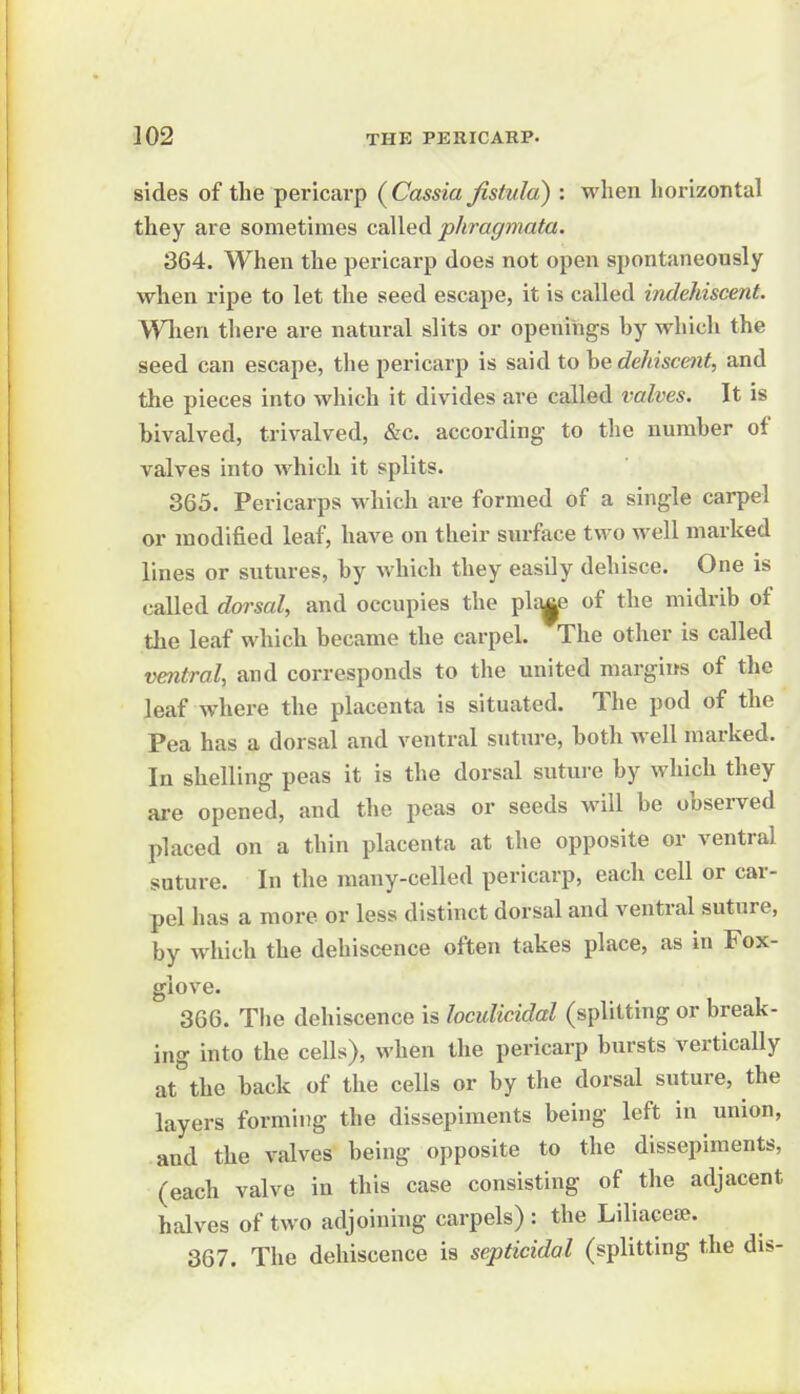 sides of the pericarp {Cassia fistula) : when horizontal they are sometimes called phragmata. 364. When the pericarp does not open spontaneously when ripe to let the seed escape, it is called indehiscent. Wlien there are natural slits or openings by which the seed can escape, the pericarp is said to be dehiscent, and the pieces into which it divides are called valves. It is bivalved, trivalved, &c. according to the number of valves into which it splits. 365. Pericarps which are formed of a single carpel or modified leaf, have on their surface two well marked lines or sutures, by which they easily dehisce. One is called dorsal, and occupies the pli^e of the midrib of the leaf which became the carpel. The other is called ventral, and corresponds to the united margins of the leaf where the placenta is situated. The pod of the Pea has a dorsal and ventral suture, both well marked. In shelling peas it is the dorsal suture by which they are opened, and the peas or seeds will be observed placed on a thin placenta at the opposite or ventral suture. In the many-celled pericarp, each cell or car- pel has a more or less distinct dorsal and ventral suture, by which the dehiscence often takes place, as in Fox- glove. 366. The dehiscence is loculicidal (splitting or break- ing into the cells), when the pericarp bursts vertically at^the back of the cells or by the dorsal suture, the layers forming the dissepiments being left in union, and the valves being opposite to the dissepiments, (each valve in this case consisting of the adjacent halves of two adjoining carpels) : the Liliaceae. 367. The dehiscence is septicidal (splitting the dis-