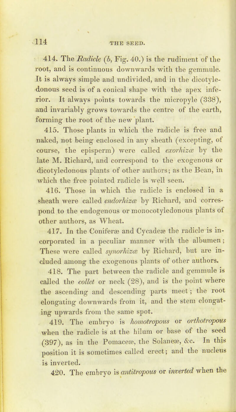 414. The Radicle (h, Fig-. 40.) is the rudiment of the root, and is continuous downwards with the gemmule. It is always simple and undivided, and in the dicotyle- donous seed is of a conical shape with the apex infe- rior. It always points towards the micropyle (338), and invariably grows towards the centre of the earth, forming the root of the new plant. 415. Those plants in which the radicle is free and naked, not being enclosed in any sheath (excepting, of course, the episperm) were called exorhizcB by the late M. Richard, and correspond to the exogenous or dicotyledonous plants of other authors; as the Bean, in which the free pointed radicle is well seen. 416. Those in which the radicle is enclosed in a sheath were called endorhizce by Richard, and corres- pond to the endogenous or monocotyledonous plants of other authors, as Wheat. 417. In the Coniferse and Cycadeaj the radicle is in- corporated in a peculiar manner with the albumen; These were called synorhizce by Richard, but are in- cluded among the exogenous plants of other authors. 418. The part between the radicle and gemnnde is called the collet or neck (28), and is the point where the ascending and descending parts meet; the root elongating downwards from it, and the stem elongat- ing upwards from the same spot. 419. The embryo is homotropous or ortJiofropous when the radicle is at the hilum or base of the seed (397), as in the Pomacese, the Solaneae, &c. In this position it is sometimes called erect; and the nucleus is inverted. 420. The embryo is antitropons or inverted when the