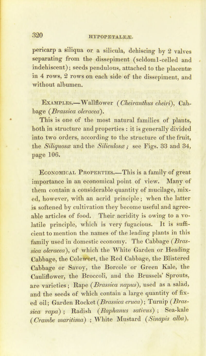 pericarp a siliqua or a sillcula, dehiscing by 2 valves separating from the dissepiment (seldom 1-celled and indehiscent); seeds pendulous, attached to the placentae in 4 rows, 2 rows on each side of the dissepiment, and without albumen. ExAiviPLES.—Wallflower {CJieiranthus cheiri), Cab- bage (Srassica oleracea). This is one of the most natural families of plants, both in structure and properties : it is generally divided into two orders, according to the structure of the fruit, the SiliquoscB and the Silicidosce ; see Figs. 33 and 34, page 106. Economical. Properties.—This is a family of great importance in an economical point of view. Many of them contain a considerable quantity of mucilage, mix- ed, however, with an acrid principle; when the latter is softened by cultivation they become useful and agree- able articles of food. Their acridity is owing to a vo- latile principle, which is very fugacious. It is suffi- cient to mention the names of the leading plants in this family used in domestic economy. The Cabbage (Bras- sica oleracea), of which the White Garden or Heading Cabbage, the Colewort, the Red Cabbage, the Blistered Cabbage or Savoy, the Borcole or Green Kale, the Cauliflower, the Broccoli, and the Bi-ussels' Sprouts, are varieties; Rape (Brassica napus), used as a salad, and the seeds of which contain a large quantity of fix- ed oil; Garden Rocket (Brassica eruca); Turnip (Bras- sica rapa) ; Radish (Raphanus sativus) ; Sea-kale (Crambe maritima) ; White Mustard (Sinapis alba),