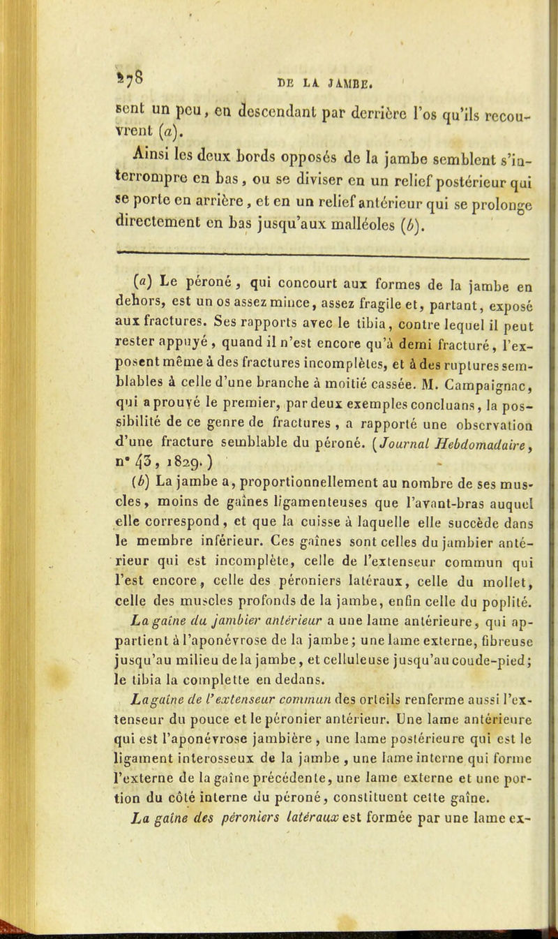DE LA. JAMBE. Bent un peu, en descendant par derrière l'os qu'ils recou^ vrent (a). Ainsi les deux bords opposés de la jambe semblent s'in- terrompre en bas, ou se diviser en un relief postérieur qui se porte en arrière, et en un relief antérieur qui se prolonge directement en bas jusqu'aux malléoles {ô). (a) Le péroné, qui concourt aux formes de la jambe en dehors, est un os assez mince, assez fragile et, partant, exposé aux fractures. Ses rapports avec le tibia, contre lequel il peut rester appuyé , quand il n'est encore qu'à demi fracturé, l'ex- posent même à des fractures incomplètes, et à des ruptures sem- blables à celle d'une branche à moitié cassée. M. Campaignac, qui a prouvé le premier, par deux exemples concluans, la pos- sibilité de ce genre de fractures , a rapporté une observation d'une fracture semblable du péroné. {Journal Hebdomadaire y n'43, 1829.) {b) La jambe a, proportionnellement au nombre de ses mus- cles, moins de gaines ligamenteuses que l'avnnt-bras auquel elle correspond, et que la cuisse à laquelle elle succède dans le membre inférieur. Ces gaines sont celles du jumbier anté- rieur qui est incomplète, celle de l'extenseur commun qui l'est encore, celle des péroniers latéraux, celle du mollet, celle des muscles profonds de la jambe, enfin celle du poplité. La gaine du janibier antérieur a une lame antérieure, qui ap- partient à l'aponévrose de la jambe ; une lame externe, fibreuse jusqu'au milieu de la jambe, et celluleuse jusqu'au coude-pied; le tibia la complette en dedans. Lagaine de l'extenseur commun des orteils renferme aussi l'ex- tenseur du pouce et le péronier antérieur. Une larae antérieure qui est l'aponévrose jambière , une lame postérieure qui est le ligament interosseux de la jambe , une lame interne qui forme l'externe de la gaîne précédente, une lame externe et une por- tion du côté interne du péroné, constituent celte gaîne. La gaine des péroniers latéraux est. formée par une lame ex-