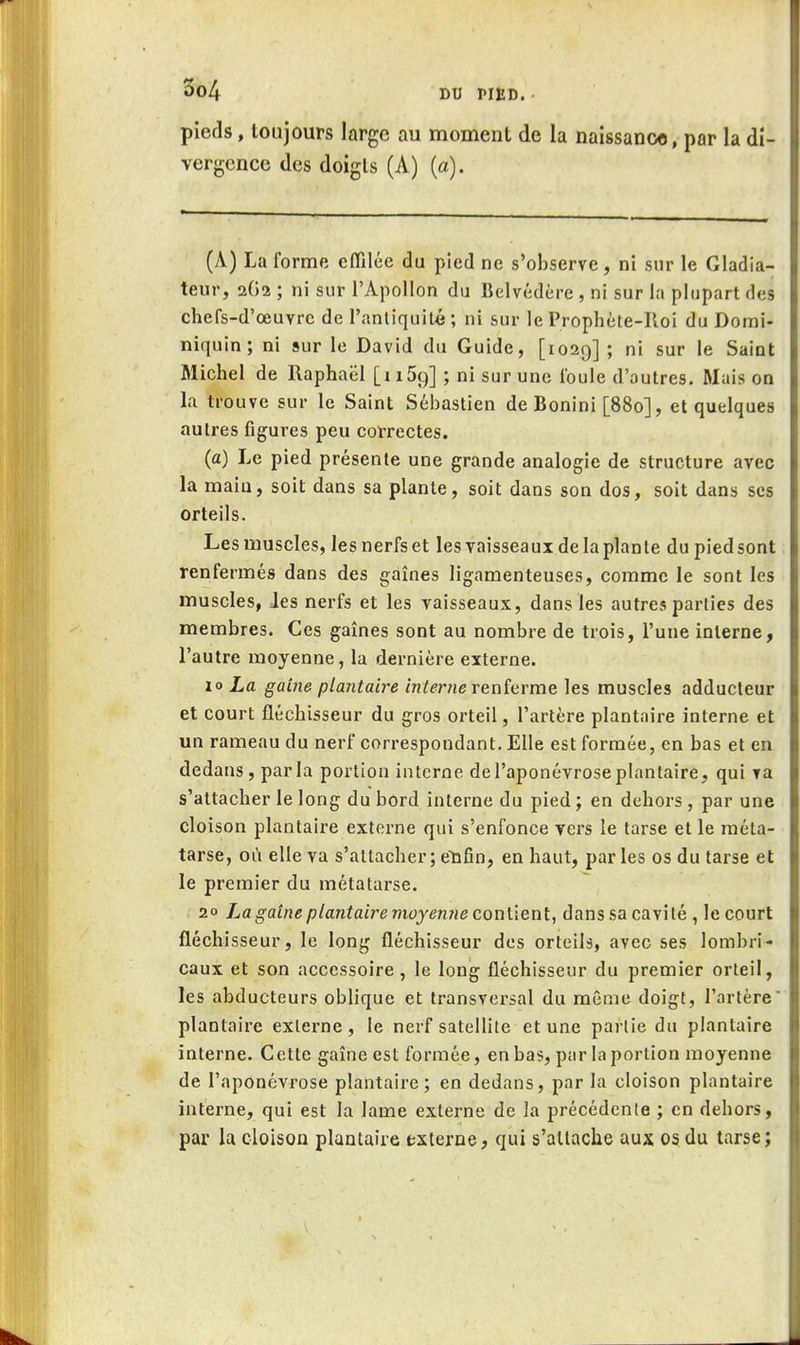 pieds, toujours large au moment de la naissance, par la di- vergence des doigts (A) (a). (A) La forme effilée du pied ne s'observe, ni sur le Gladia- teur, 2()2 ; ni sur l'Apollon du Belvédère , ni sur la plupart des chefs-d'œuvre de l'anliquilé; ni sur le Prophète-Roi du Domi- niquin; ni sur le David du Guide, [1029]; ni sur le Saint Michel de Raphaël [i iSq] ; ni sur une foule d'autres. Maison la trouve sur le Saint Sébastien de Bonini [880], et quelques autres figures peu correctes. (a) Le pied présente une grande analogie de structure avec la maiu, soit dans sa plante, soit dans son dos, soit dans ses orteils. Les muscles, lesnerfset les vaisseaux de la plante du pied sont renfermés dans des gaines ligamenteuses, comme le sont les muscles, Jes nerfs et les vaisseaux, dans les autres parties des membres. Ces gaines sont au nombre de trois, l'une interne, l'autre moyenne, la dernière externe. 10 La gaine plantaire interne renferme les muscles adducteur et court fléchisseur du gros orteil, l'artère plantaire interne et un rameau du nerf correspondant. Elle est formée, en bas et en dedans, parla portion interne de l'aponévrose plantaire, qui va s'attacher le long du bord interne du pied ; en dehors , par une cloison plantaire externe qui s'enfonce vers le tarse et le méta- tarse, où elle va s'attacher; enfin, en haut, parles os du tarse et le premier du métatarse. 20 La gaine plantaire moyentie contient, dans sa cavité , le court fléchisseur, le long fléchisseur des orteils, avec ses lombri- caux et son accessoire , le long fléchisseur du premier orteil, les abducteurs oblique et transversal du même doigt, l'artère plantaire externe, le nerf satellite et une partie du plantaire interne. Cette gaine est formée, en bas, par la portion moyenne de l'aponévrose plantaire; en dedans, par la cloison plantaire interne, qui est la lame externe de la précédente ; en dehors, par la cloison plantaire externe, qui s'attache aux os du tarse ;